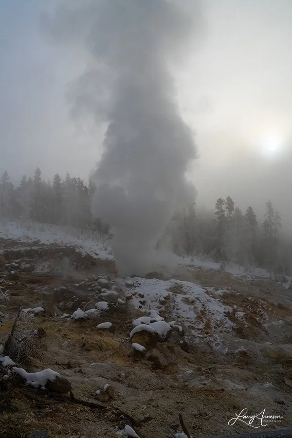 Yellowstone Norris Geyser Basin