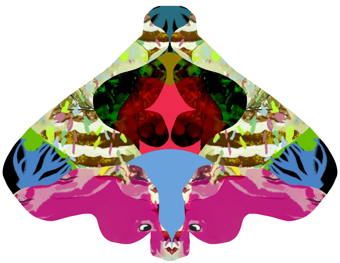 A symmetrical abstract digital artwork combining vibrant colors and shapes, resembling a stylized flower or insect with pink, blue, black, green, and red elements.