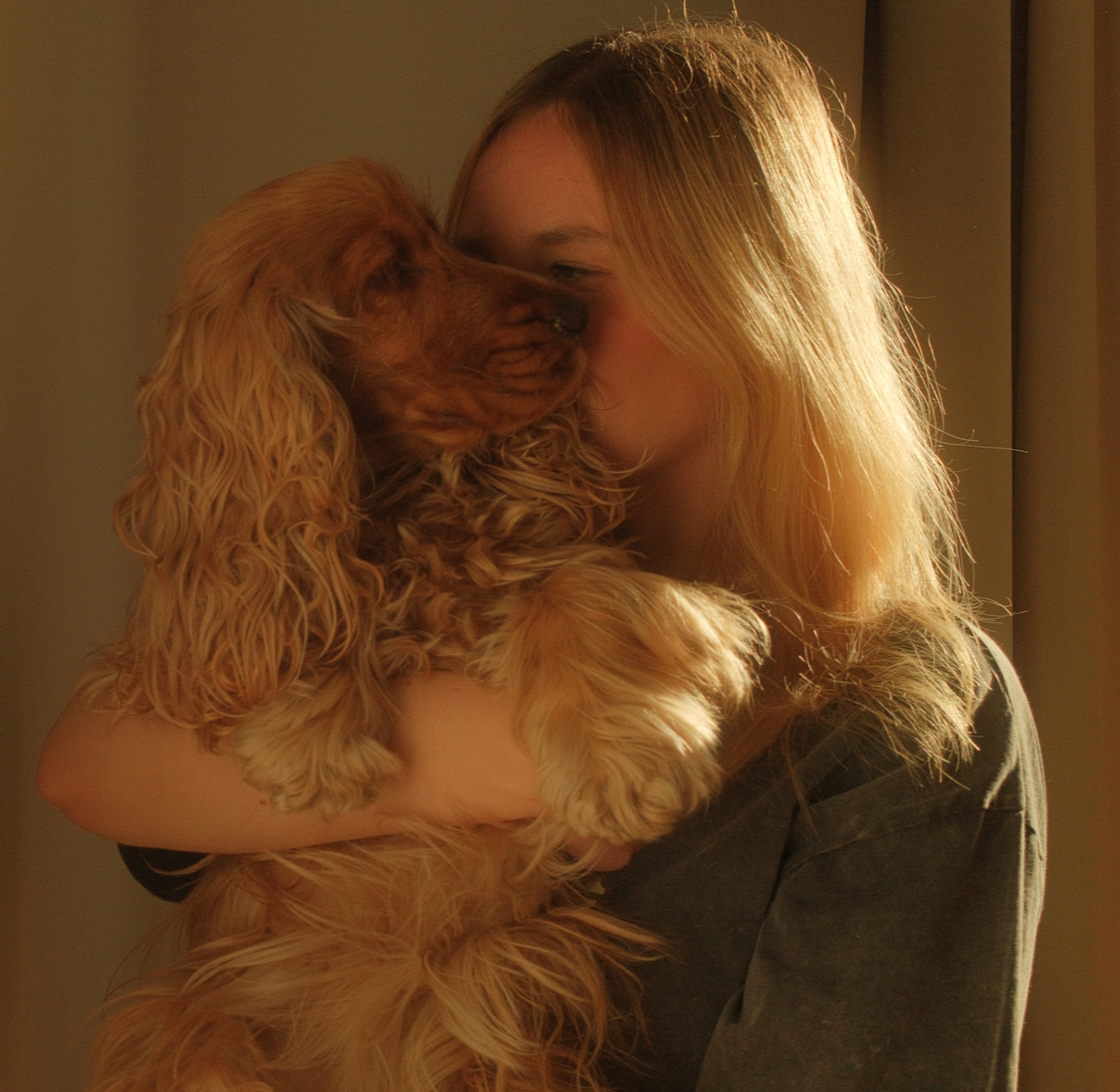 Eine junge Frau hält einen goldenretriever-Labrador-Welpen und küsst ihn liebevoll auf die Schnauze.