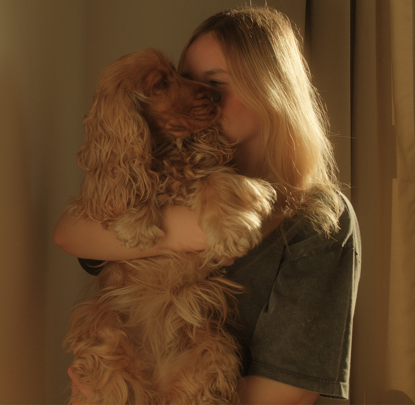 Junge Frau umarmt und küsst goldenes Cocker-Spaniel-Hund im natürlichen Licht