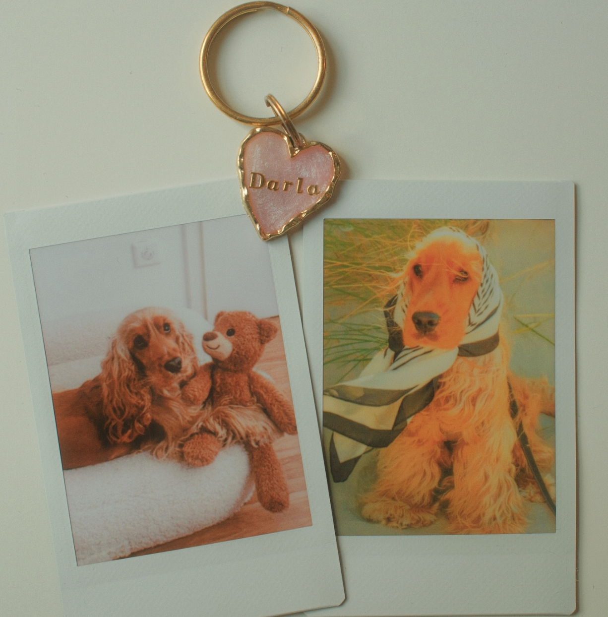 Zwei Fotofilme von Hunden neben einem Schlüsselanhänger mit Herzanhänger, auf dem 'Darla' steht, hängen an einer Wand.