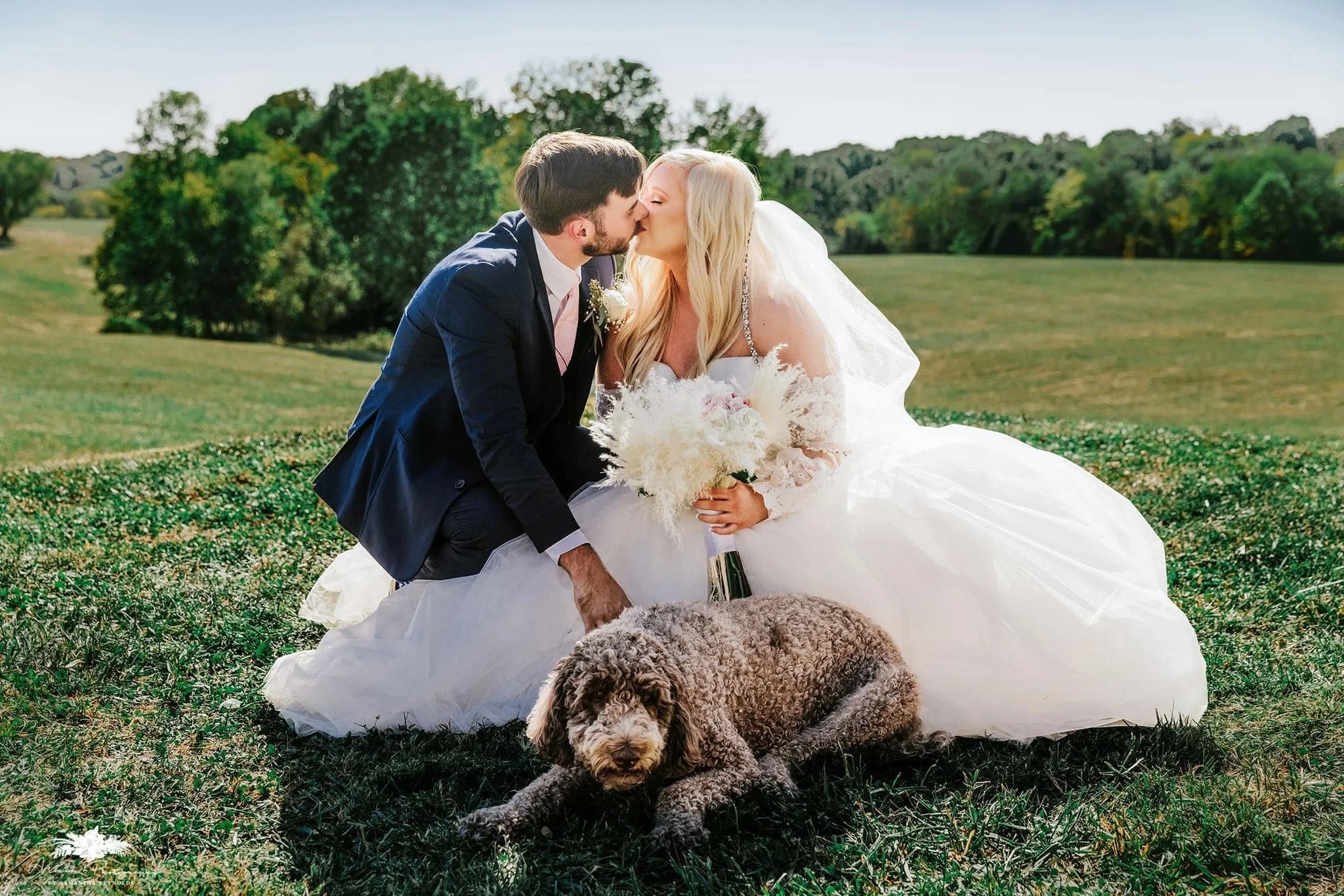 A newlywed couple sharing a kiss outdoors on a grassy field, with the bride sitting in a white wedding dress holding a bouquet, and the groom in a suit. A large, curly-haired dog is lying in front of them.