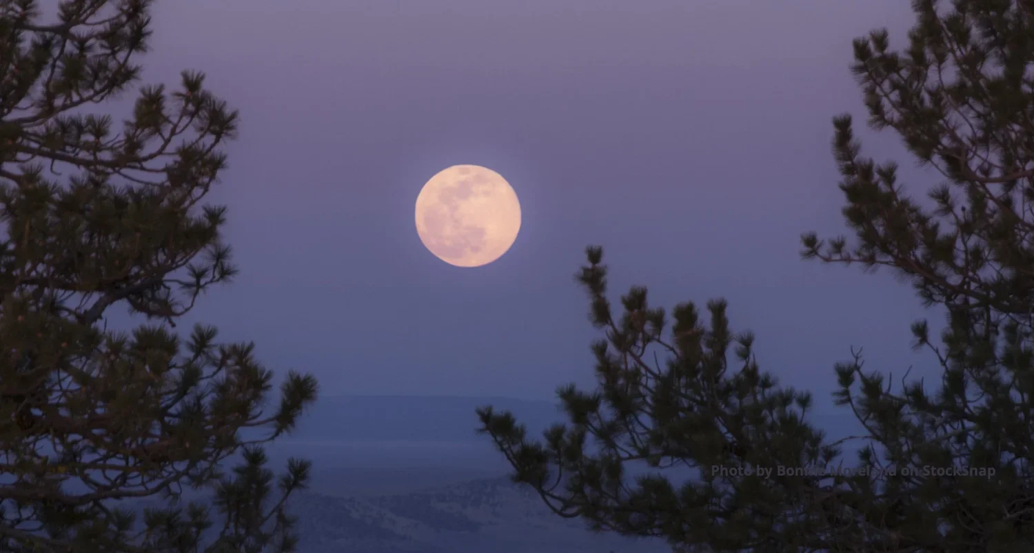 Full Moon in Scorpio Workshop Series