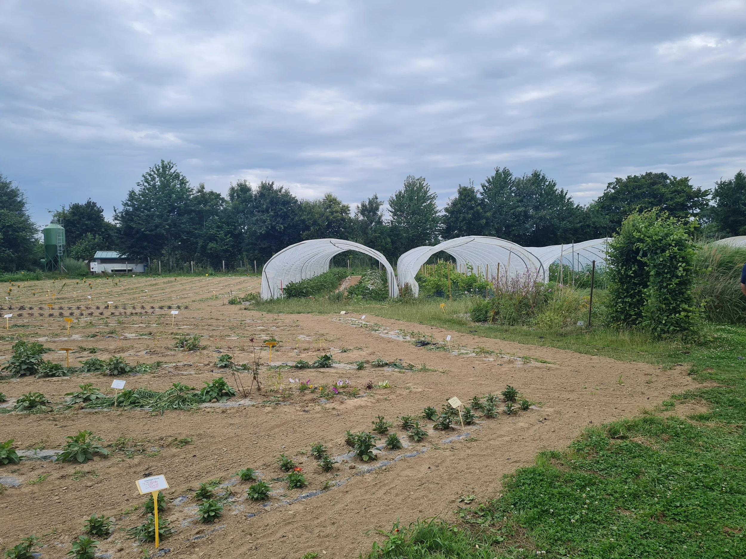 Photo du potager au CPSA de Coutances