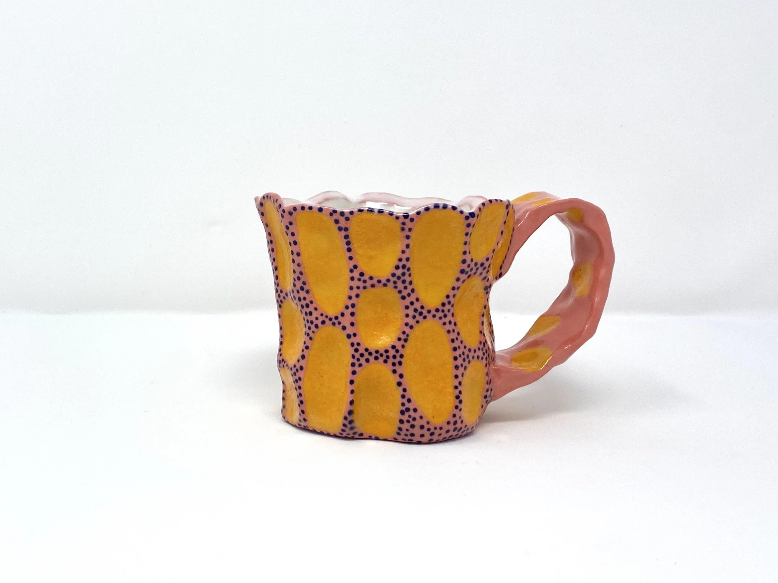 shamard colorful mug 4.jpg