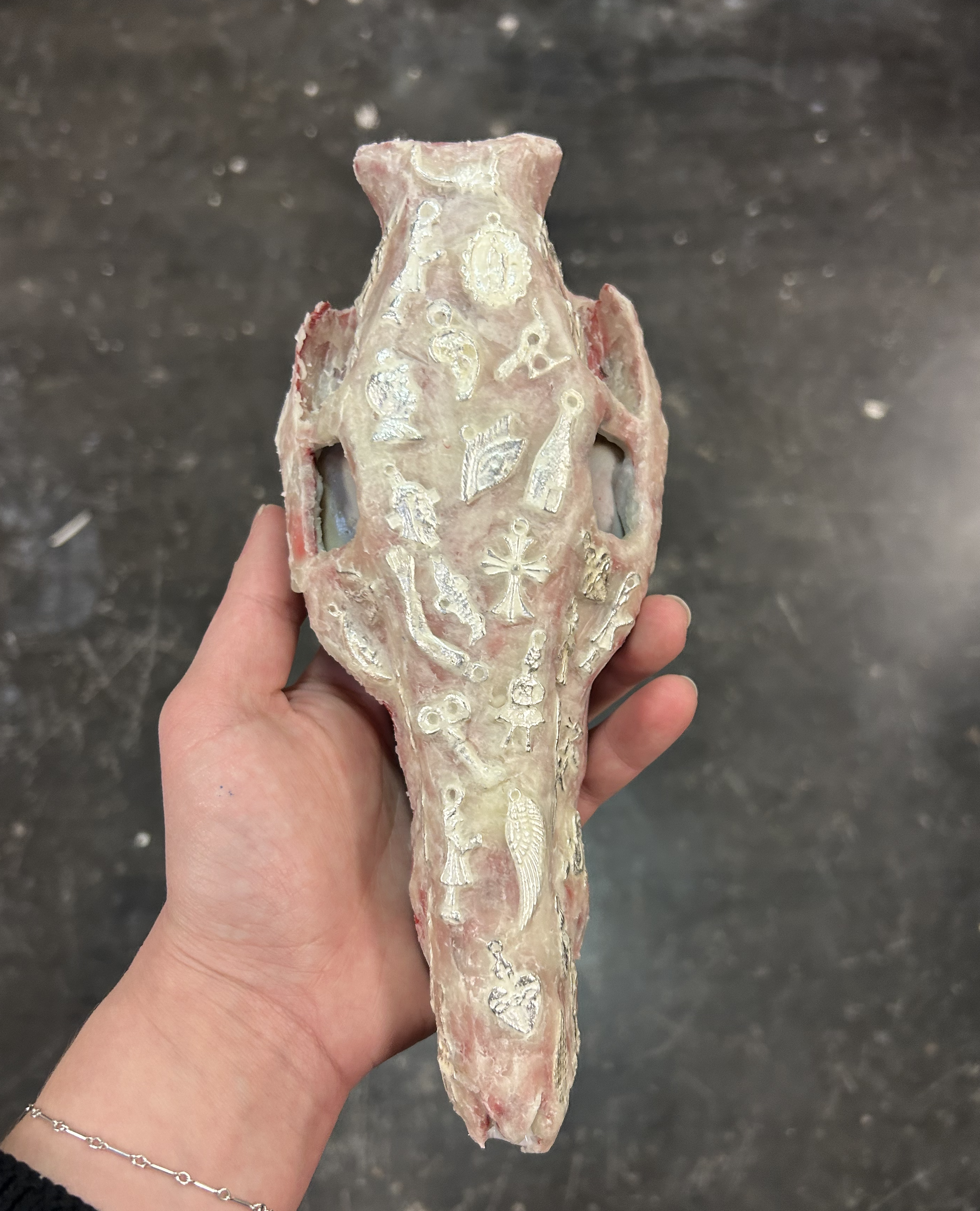 sam shamard_2_milagros.png