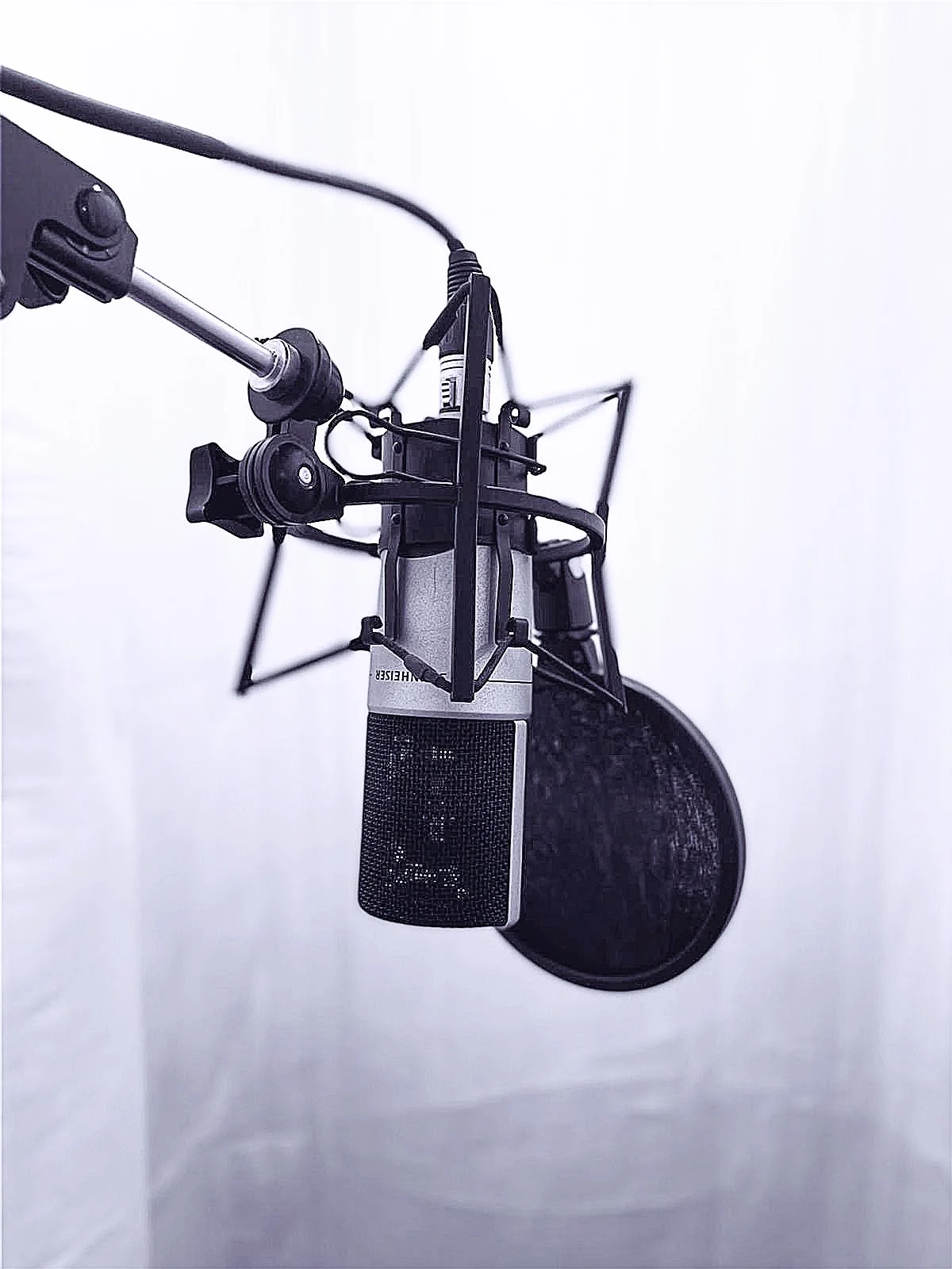 A professional condenser microphone with a shock mount and pop filter in a recording studio or vocal booth.