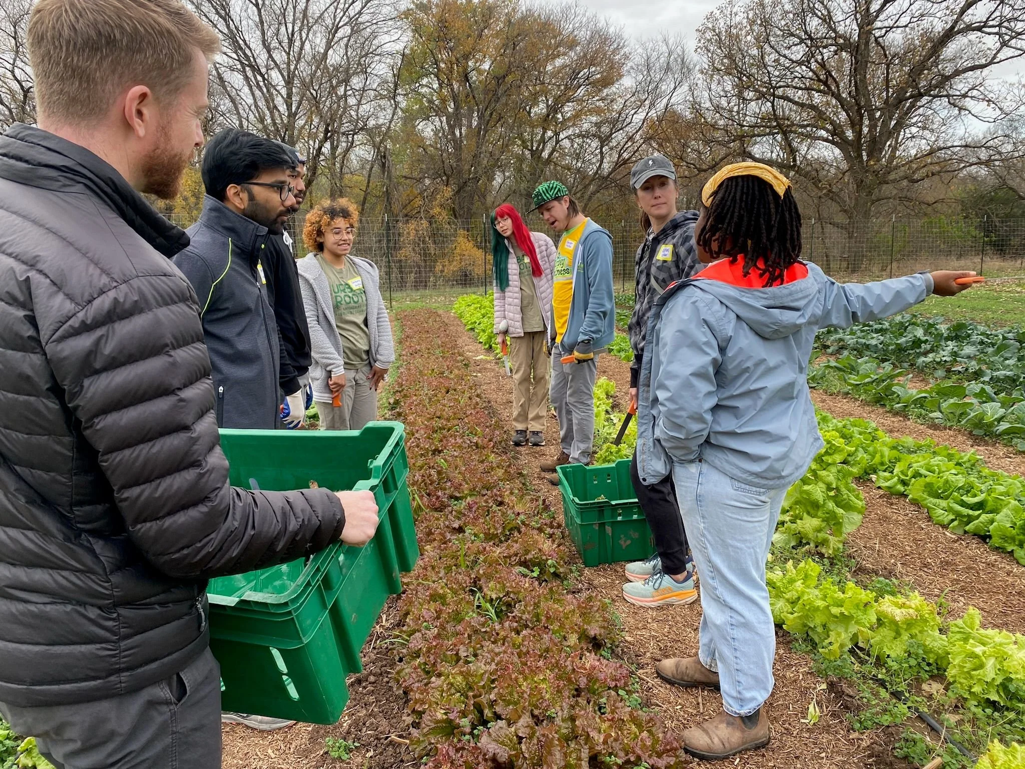 kerbey lane volunteers helping at urban farm