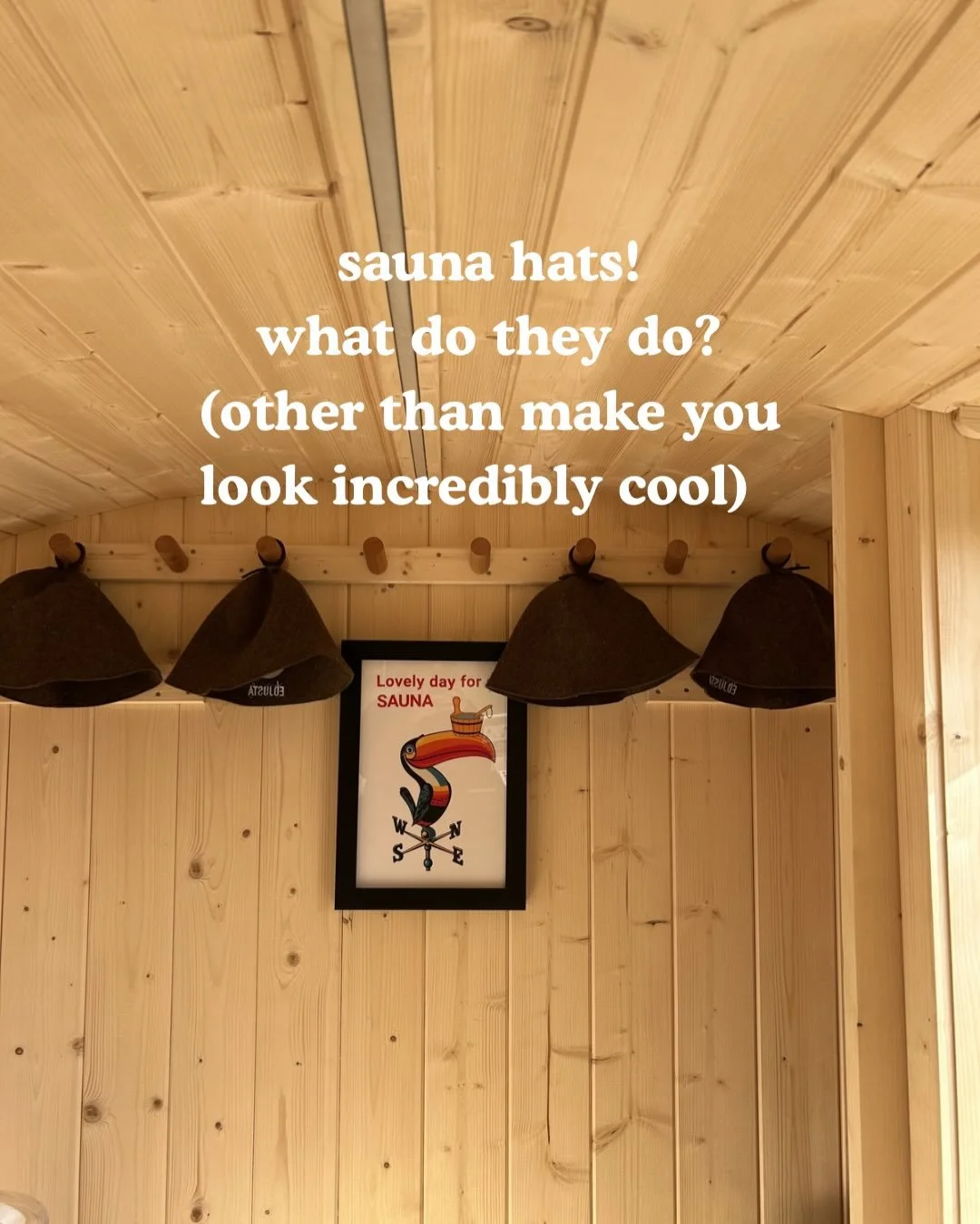 Sauna hats! Come try out our 100% wool @edjusta_hottubsauna hats at Pigg! 

Book your next session through the link in our bio! 

#sauna #glasgowwestend #wellness #coldplunge #recovery