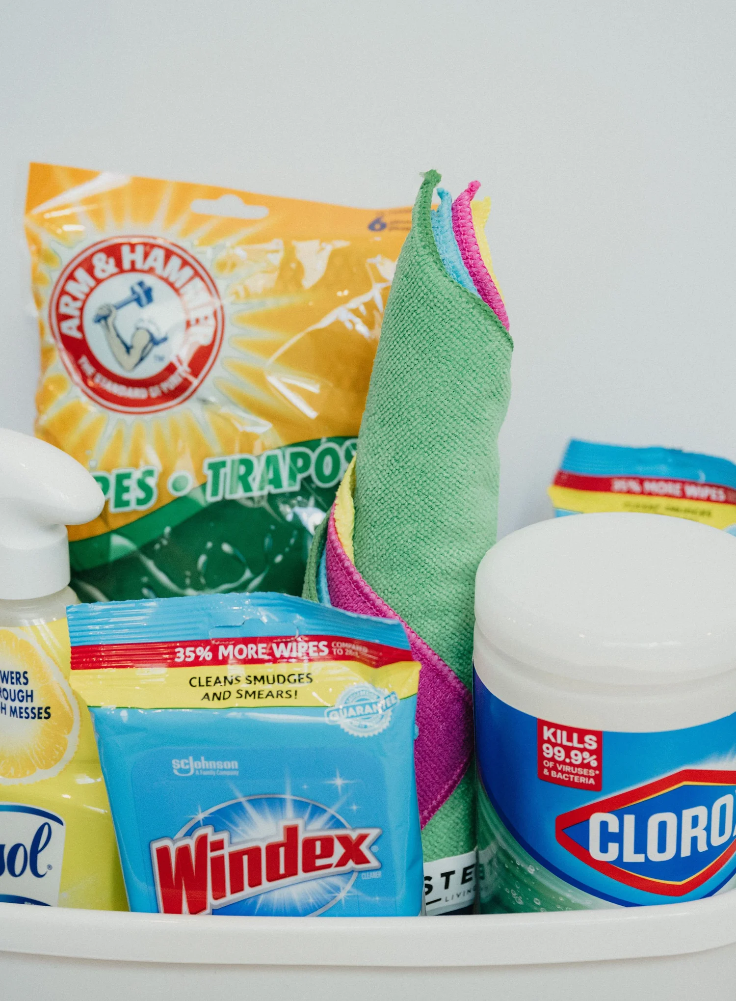 Cleaning Supply Kit