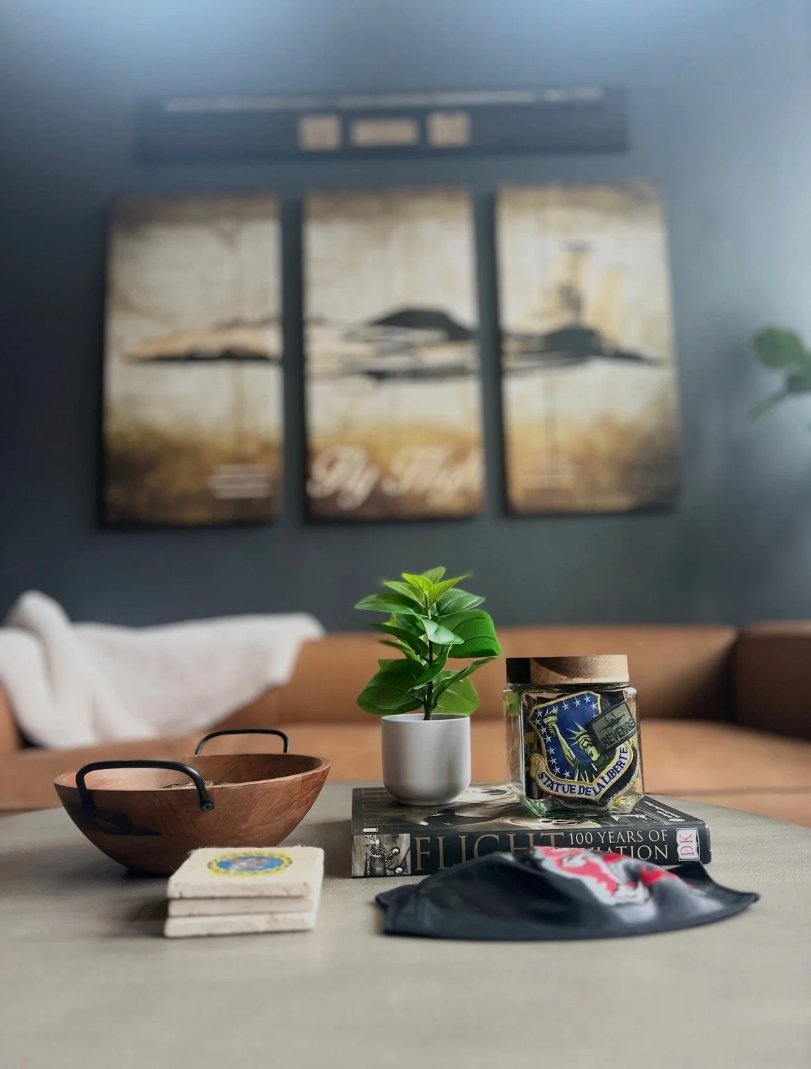 Decorative tabletop with a small potted green plant, a wooden bowl, a glass jar with patches, a stack of NATO patches, a face mask, and a book titled 'FLIGHT 100 Years of...' in a living room with brown sofa, wall art, and a plant.