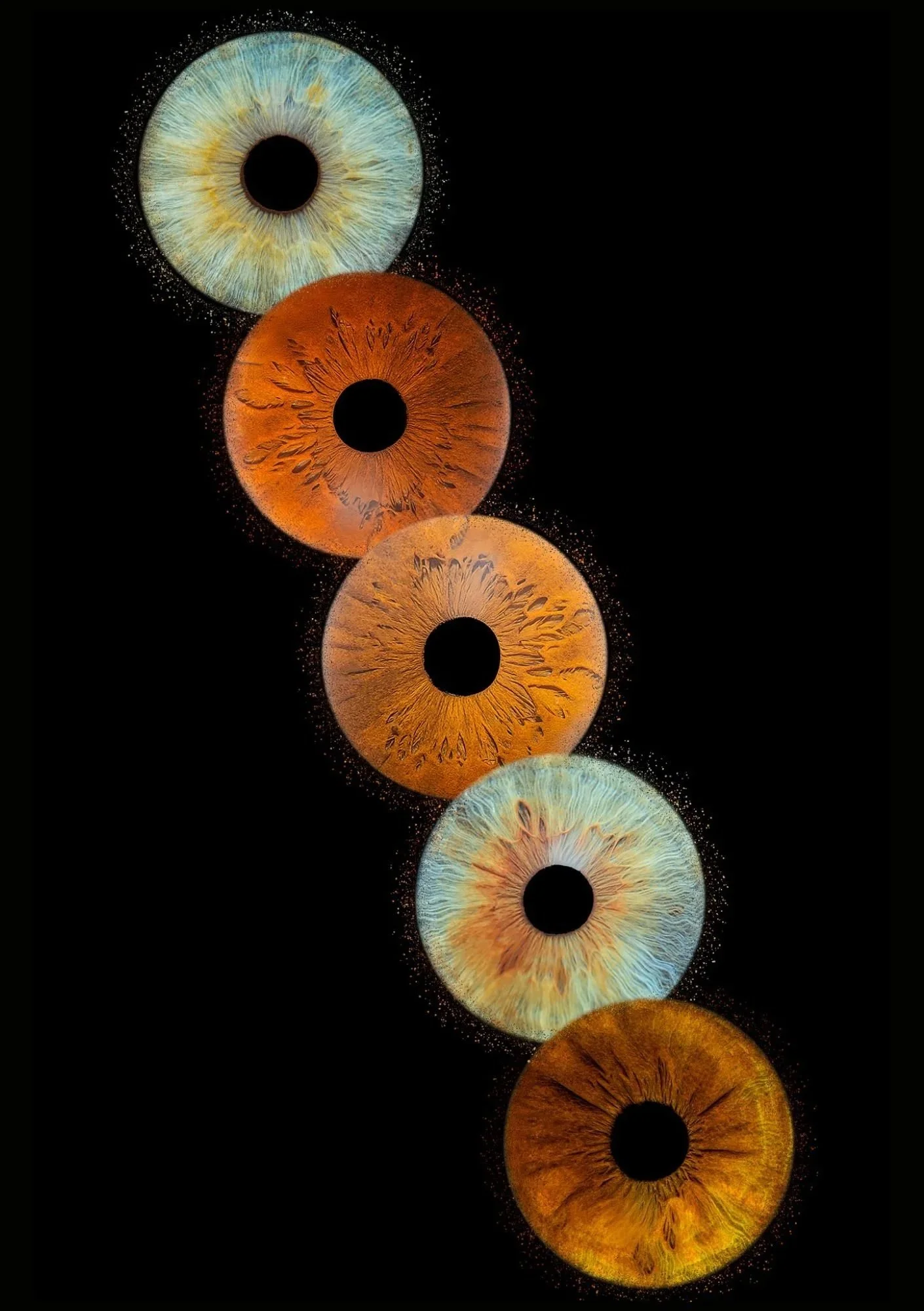 Pack Famille - 5 IRIS