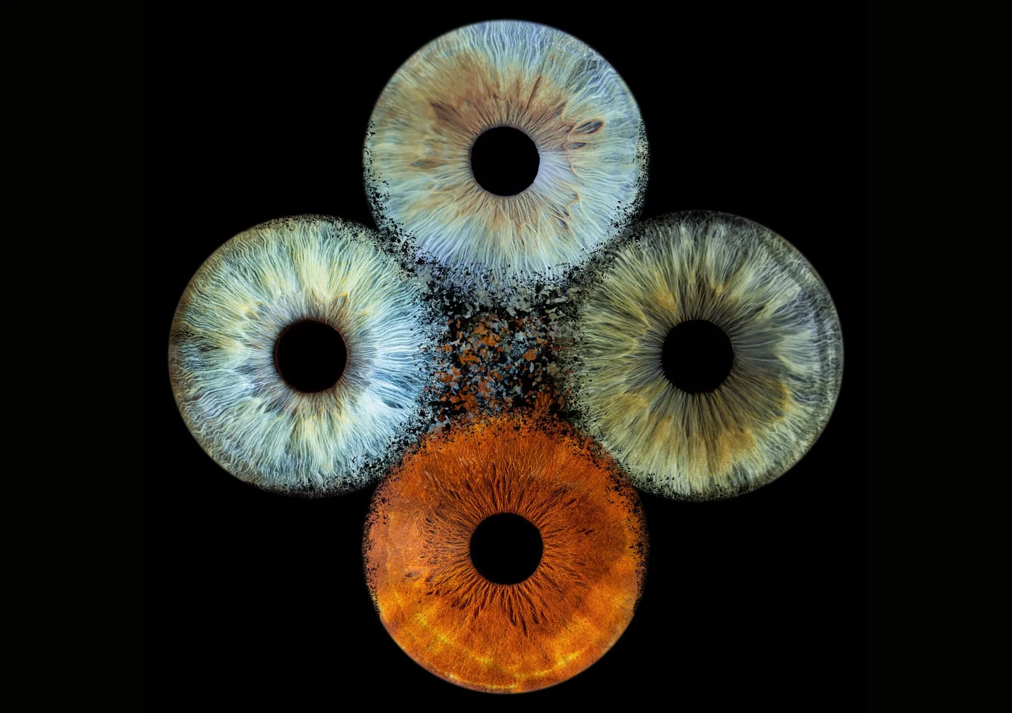 Pack Famille - 4 IRIS