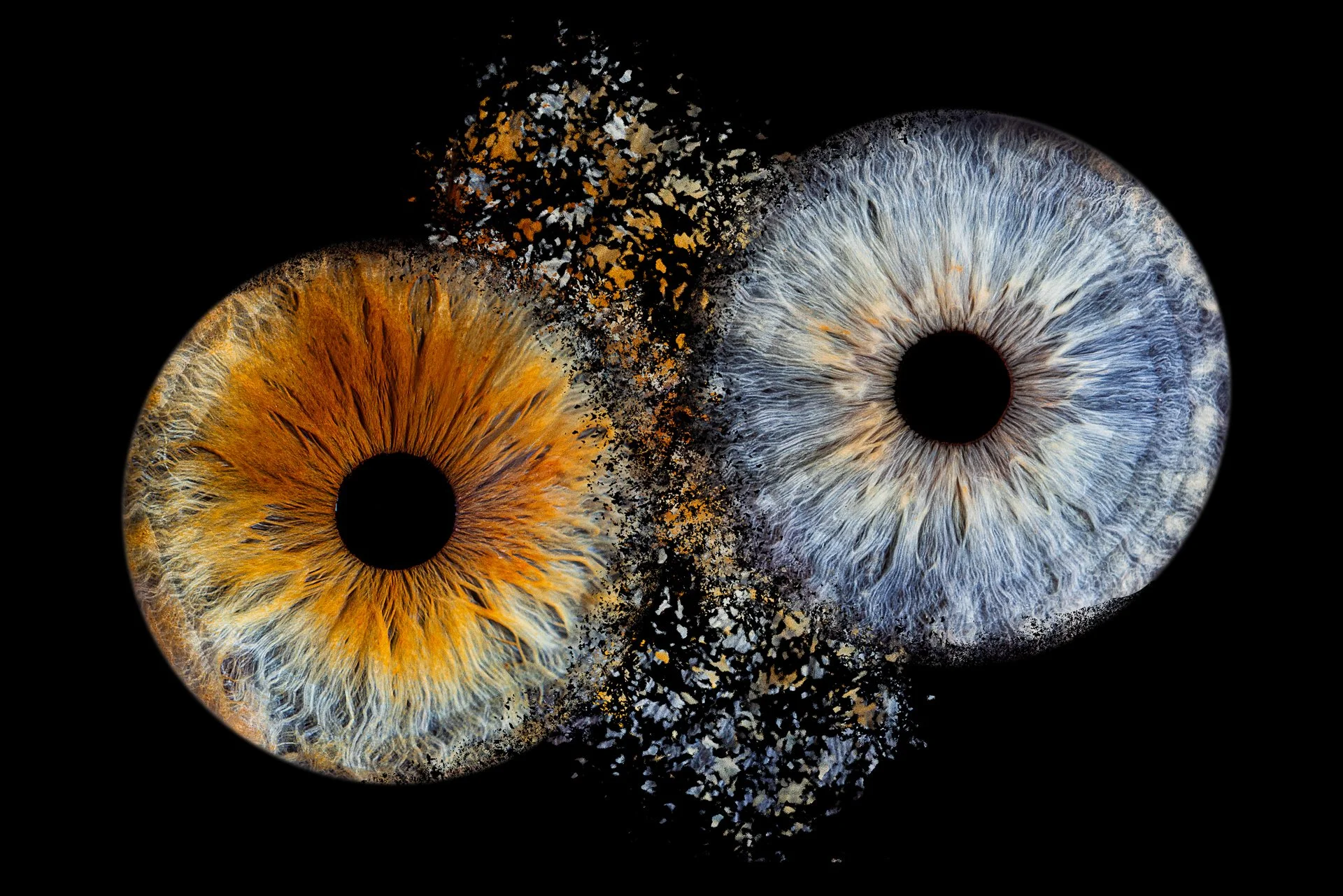 opticienscharolles.jpg