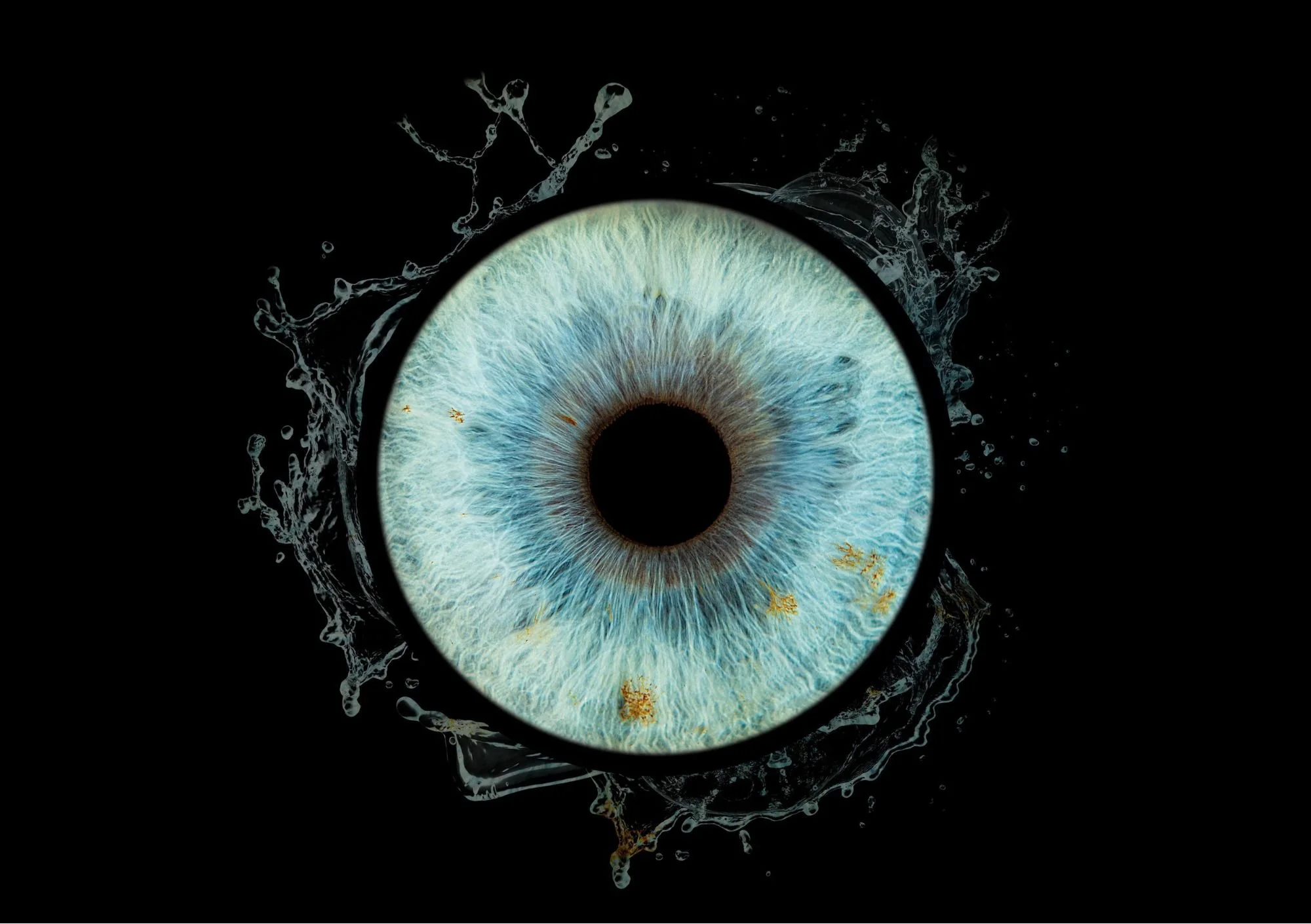 Bon Cadeau - Prise de vue - 1 Iris