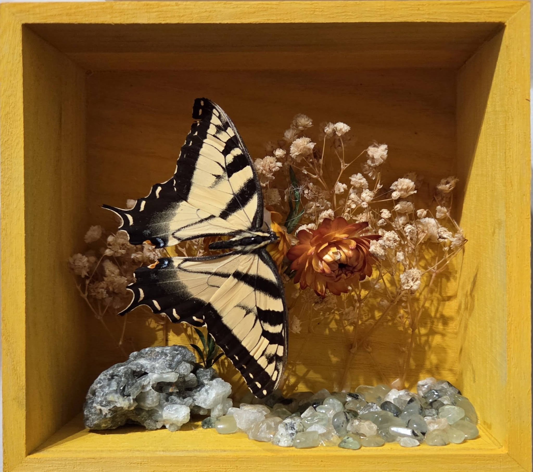 Found Treasures - Butterfly