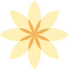 Floraison de fleur stylisée beige et orange sur fond noir.