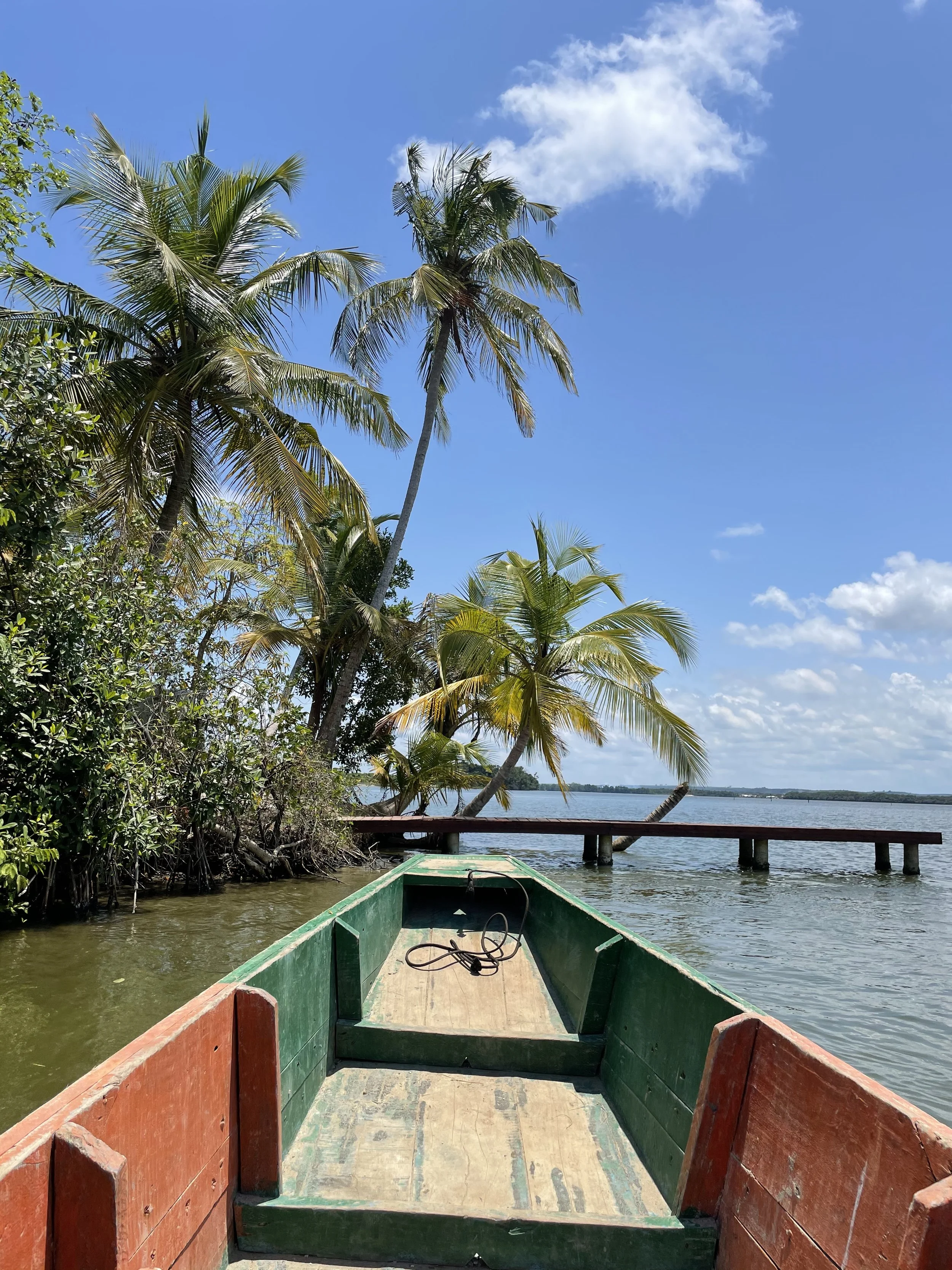 Vue depuis un bateau vert avec bois brun, regardant vers un quai en bois, palmier et végétation tropicale, ciel bleu avec quelques nuages, près d'une rivière ou d'un lac.