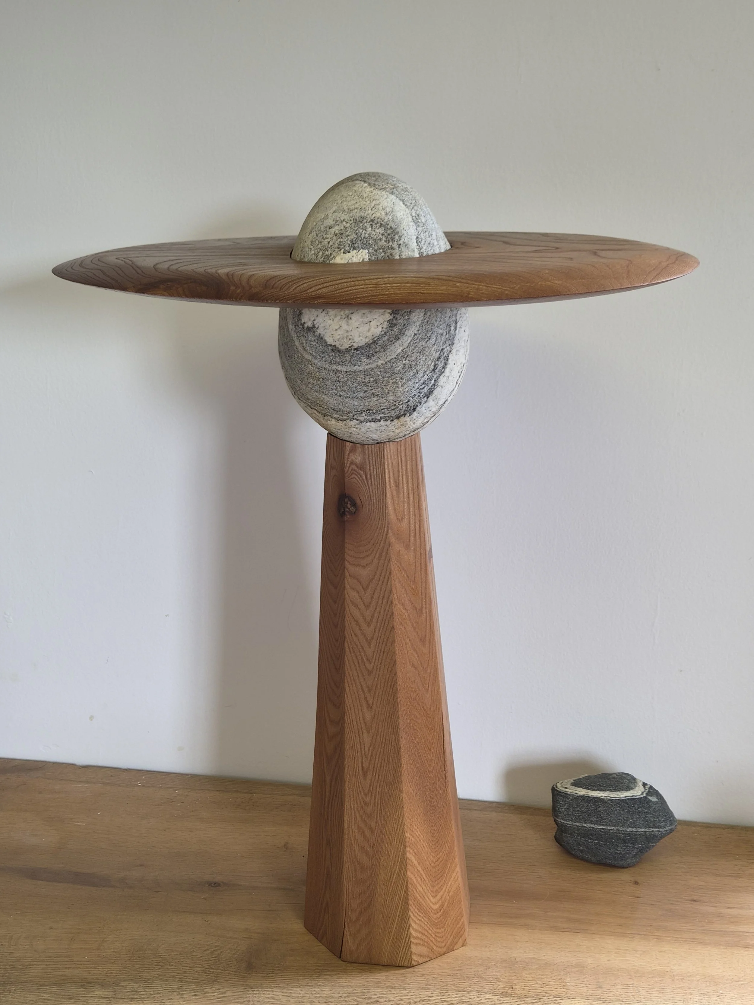 Endless Orbit- Elm 05 - Oliver Spendley.jpg