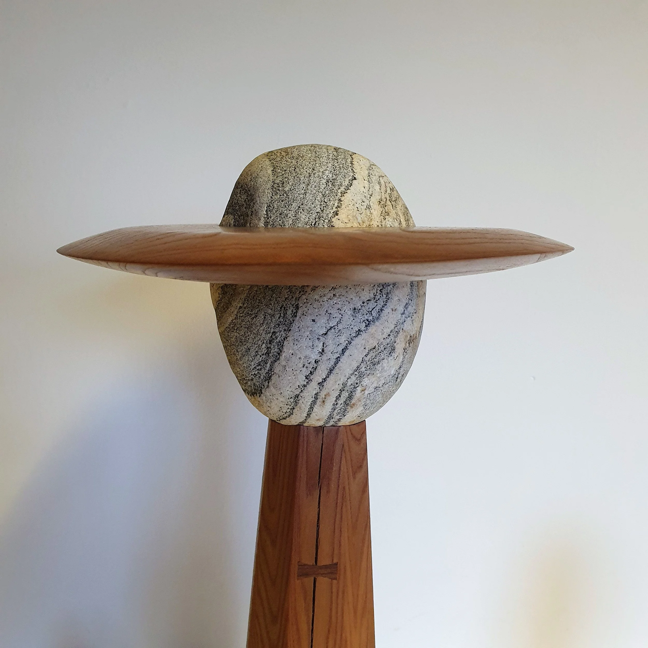 Endless Orbit- Elm 02 - Oliver Spendley.jpg