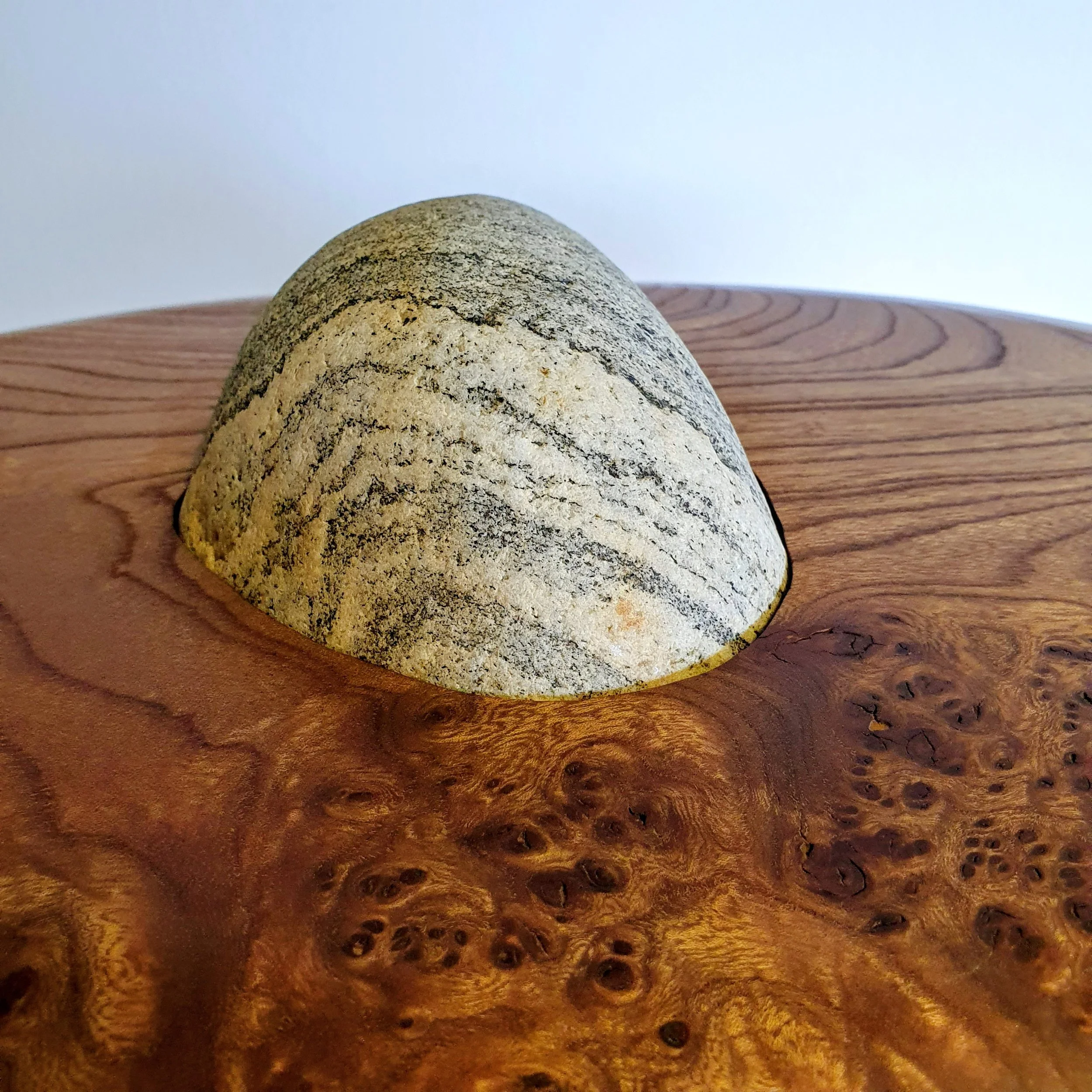Endless Orbit- Elm  04 - Oliver Spendley.jpg