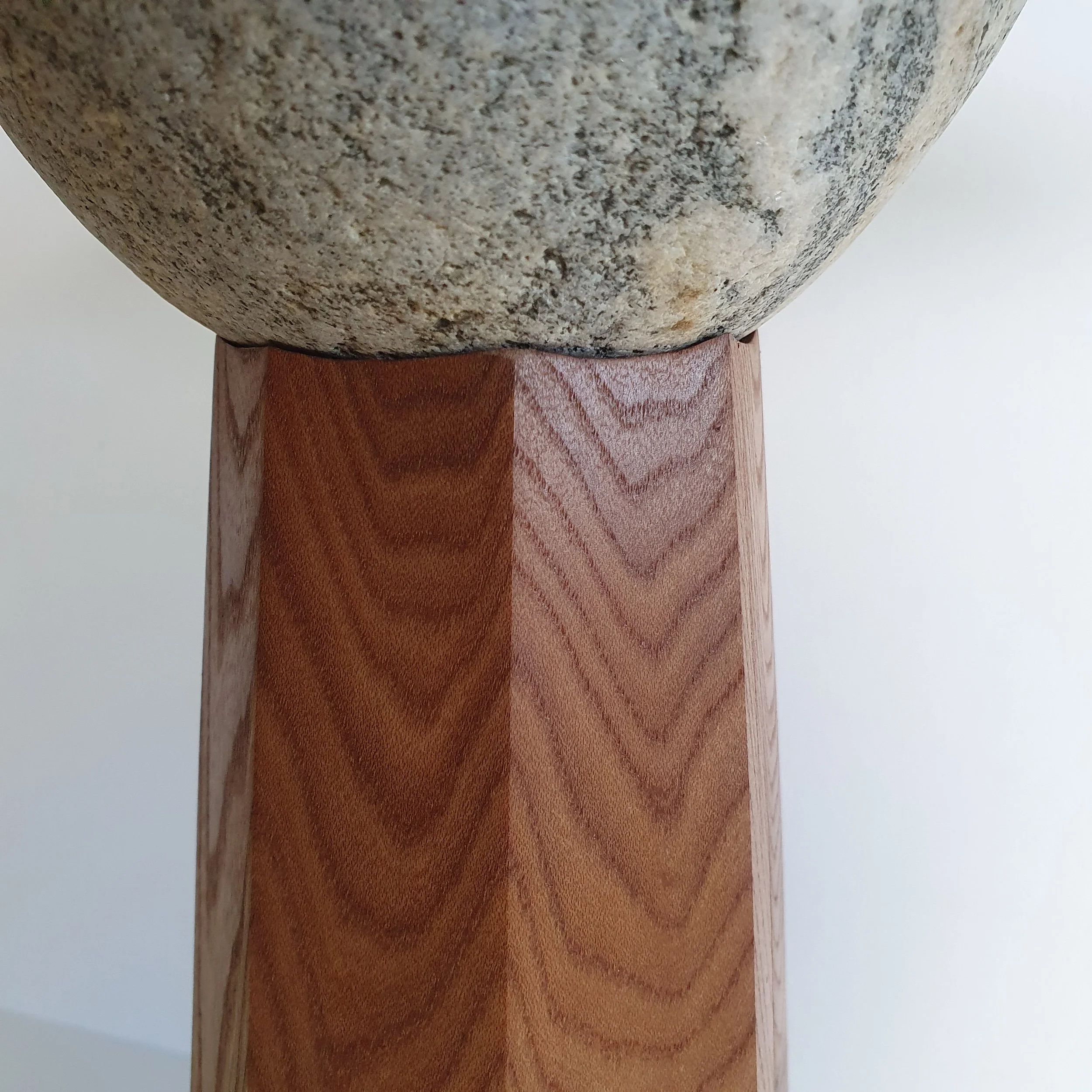 Endless Orbit- Elm 03 - Oliver Spendley.jpg