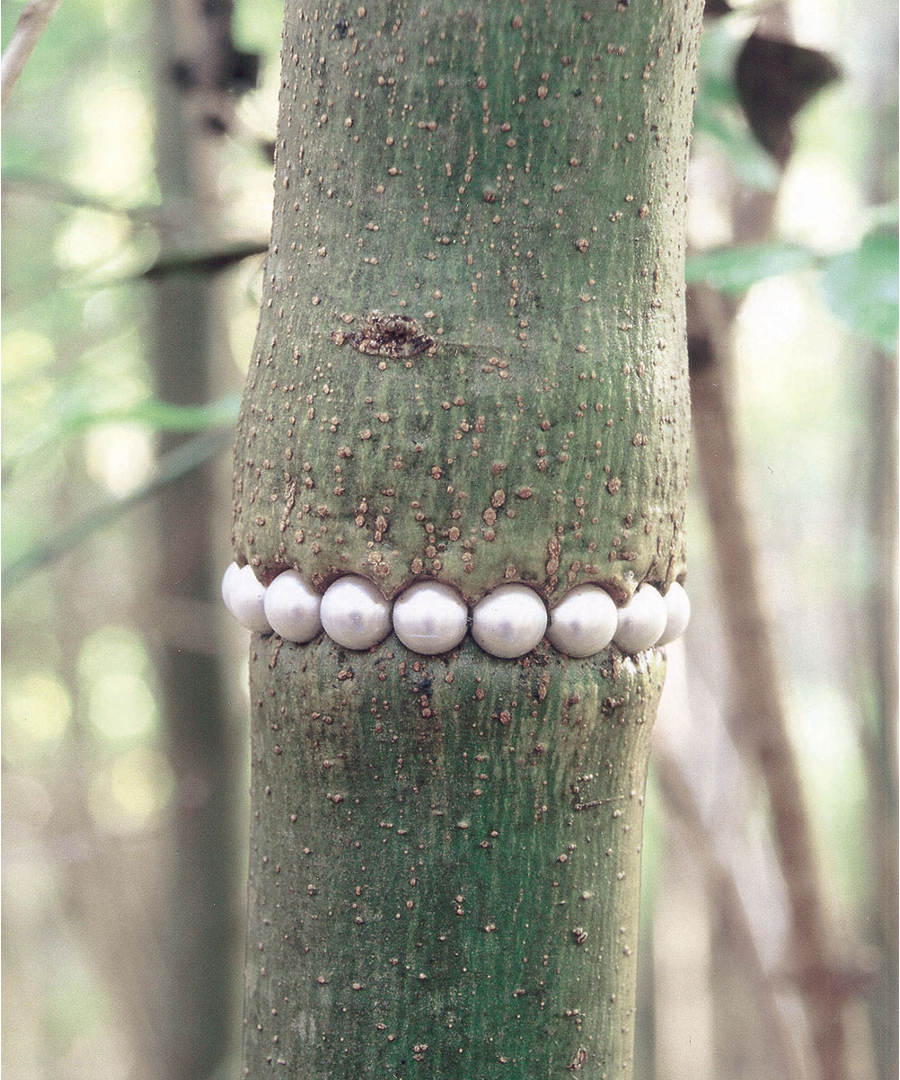 Exhibition: Jewellery and the World's Beauty
