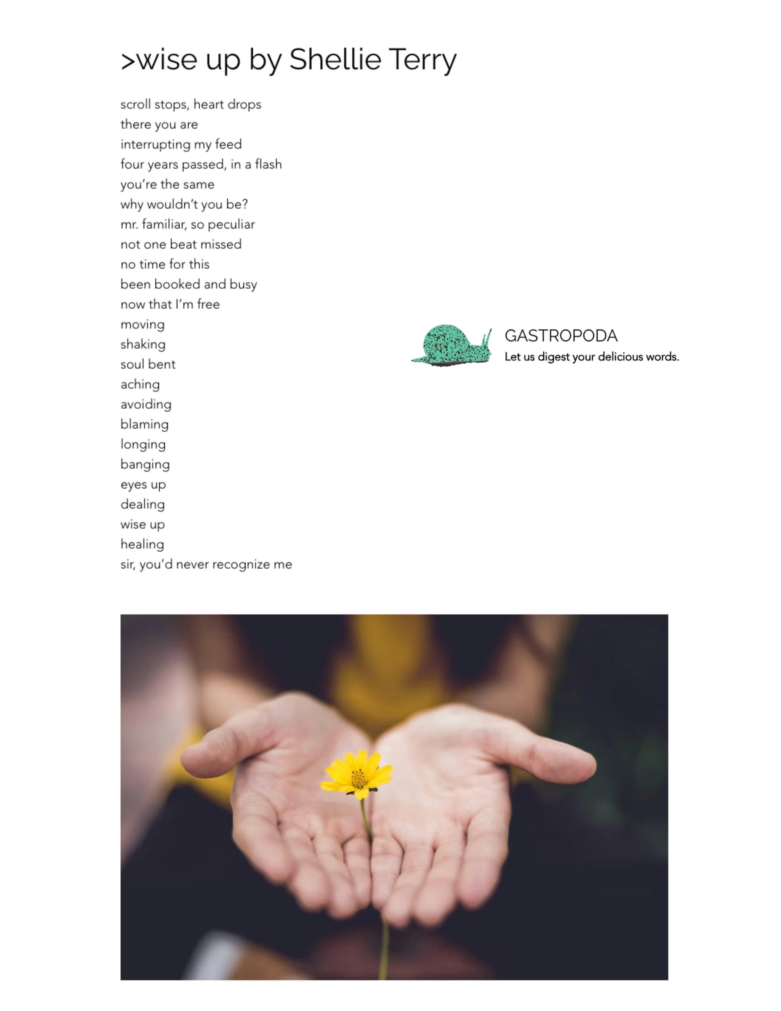 Shellie Terry poem wise up in Gastropoda Literary Magazine