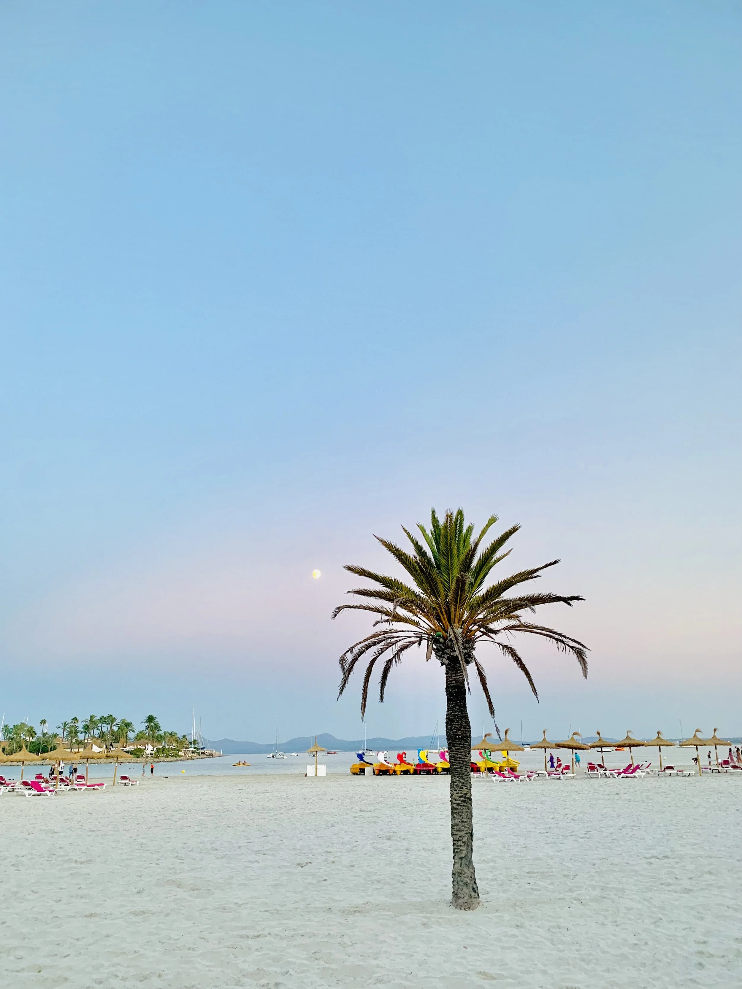 A palm tree standing on a sandy beach with colorful umbrellas and lounge chairs, calm ocean waters in the background, and a clear sky with the moon visible.