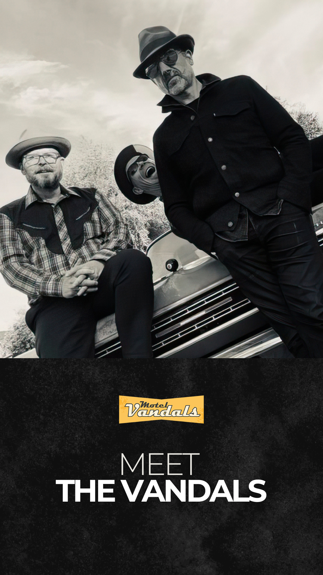 MEET THE VANDALS (Instragram stories).png