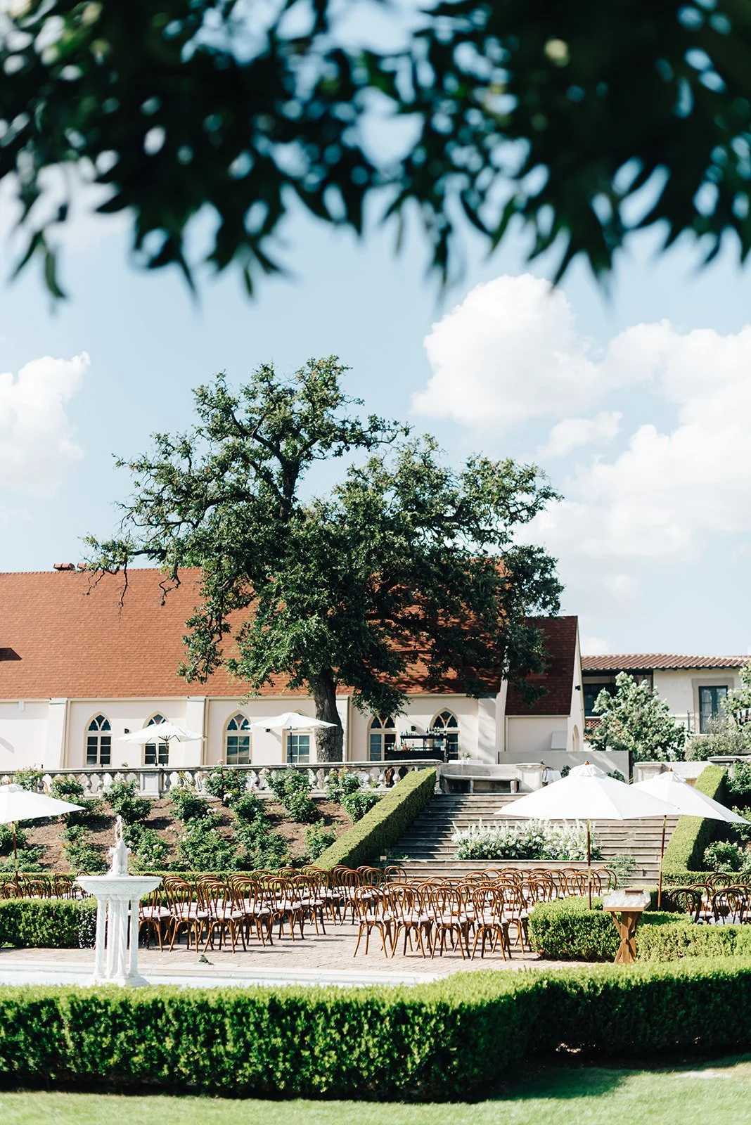 Laurie’s customers, Mariana and Carmen holding hands on a green lawn on their wedding day.