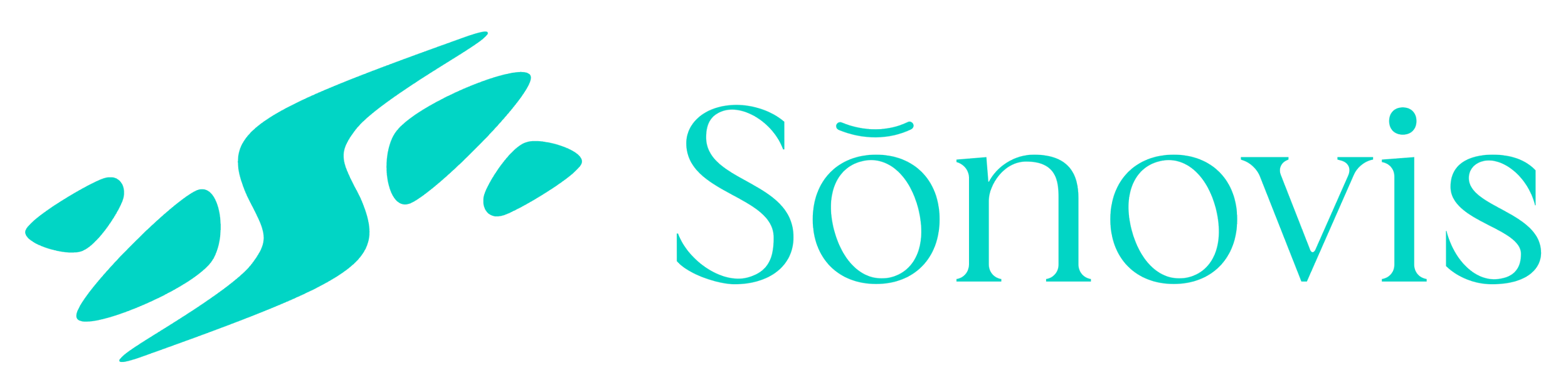 Horizontal logo with stylized teal S and the word Sonovis