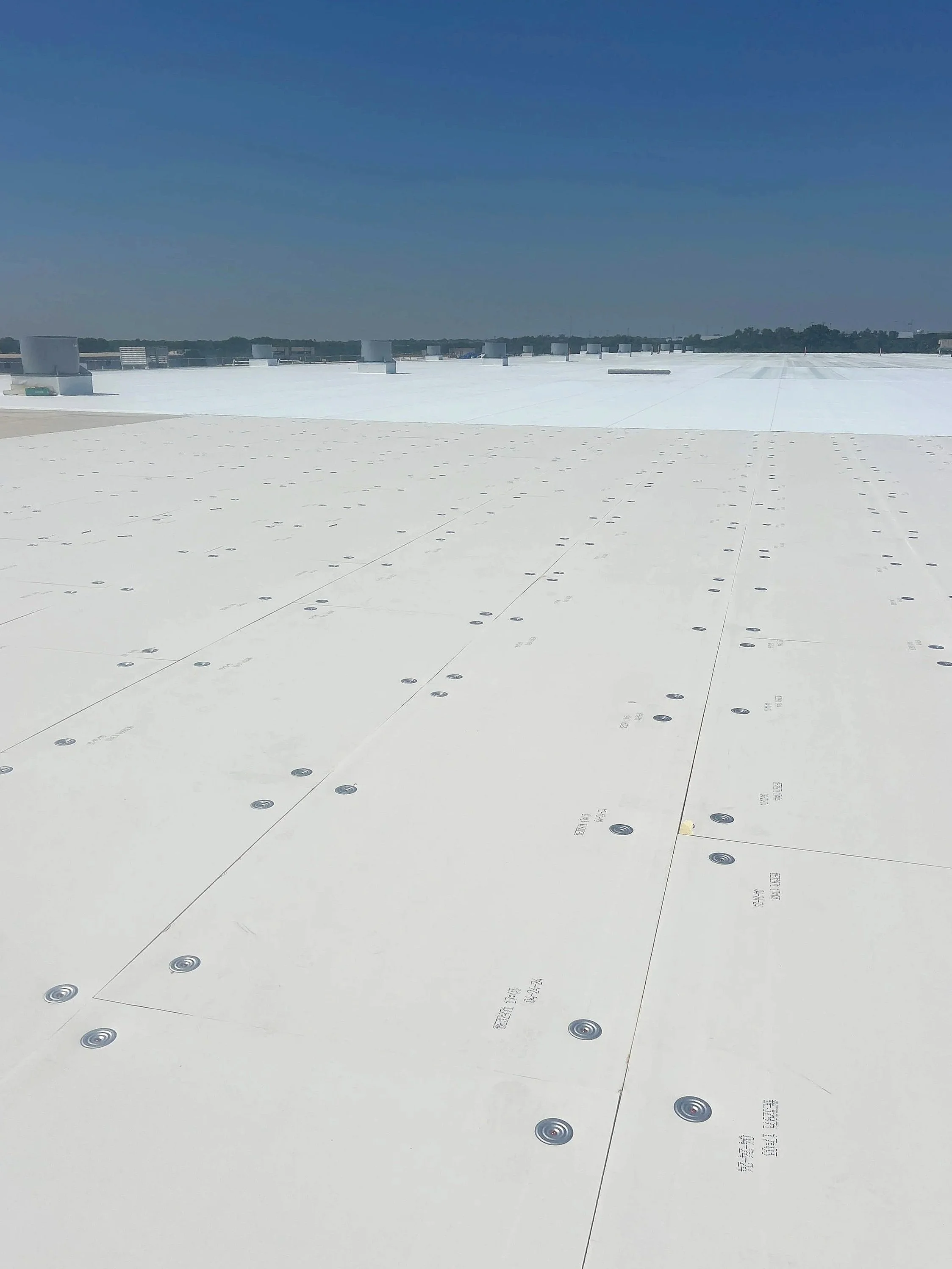 Flat white rooftop with visible screw fasteners and a clear blue sky in the background.