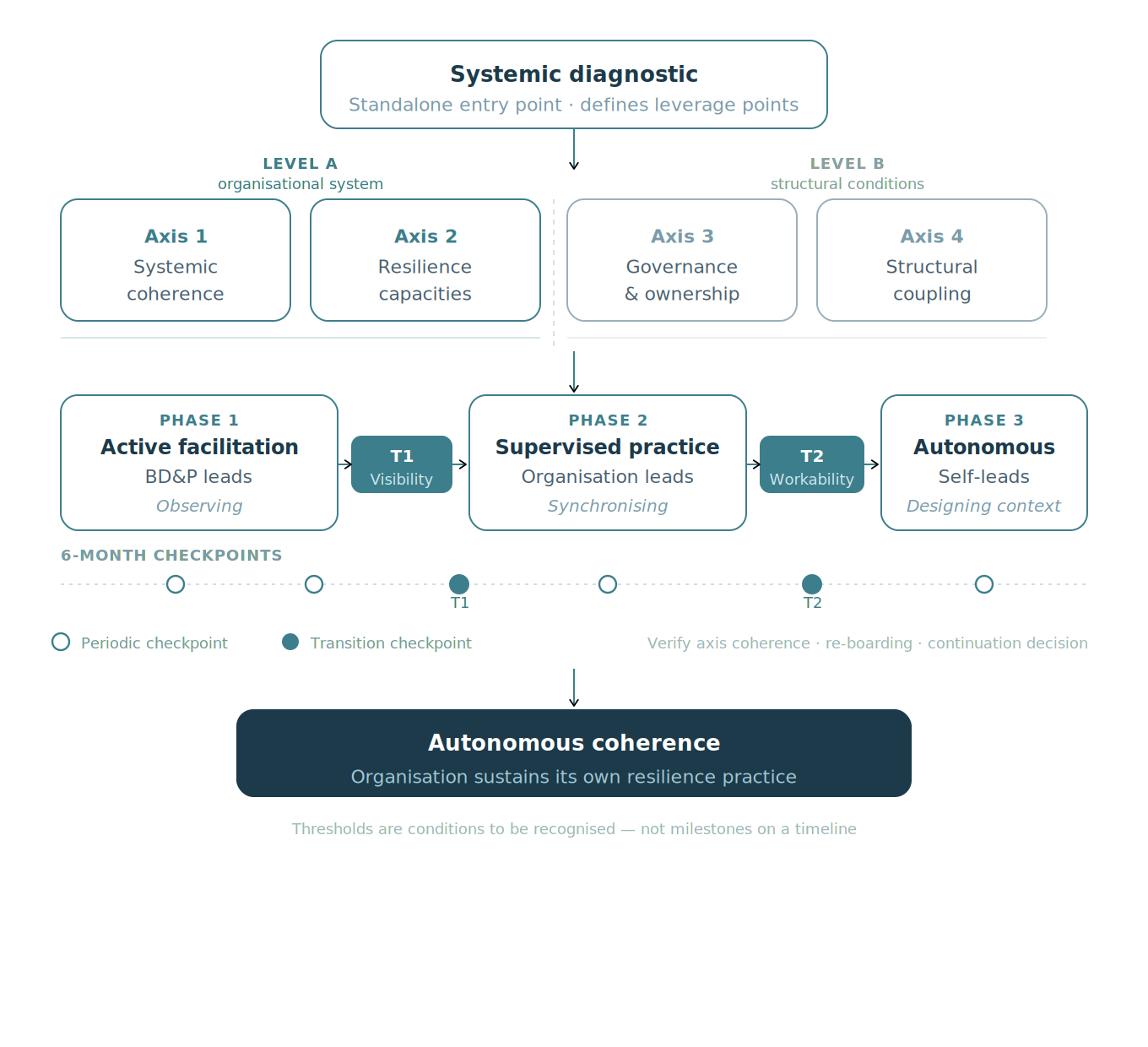 Flowchart illustrating a systemic diagnostic process with organizational and structural axes, phases of active facilitation, supervised practice, and autonomous work, including checkpoints and thresholds for organizational resilience.