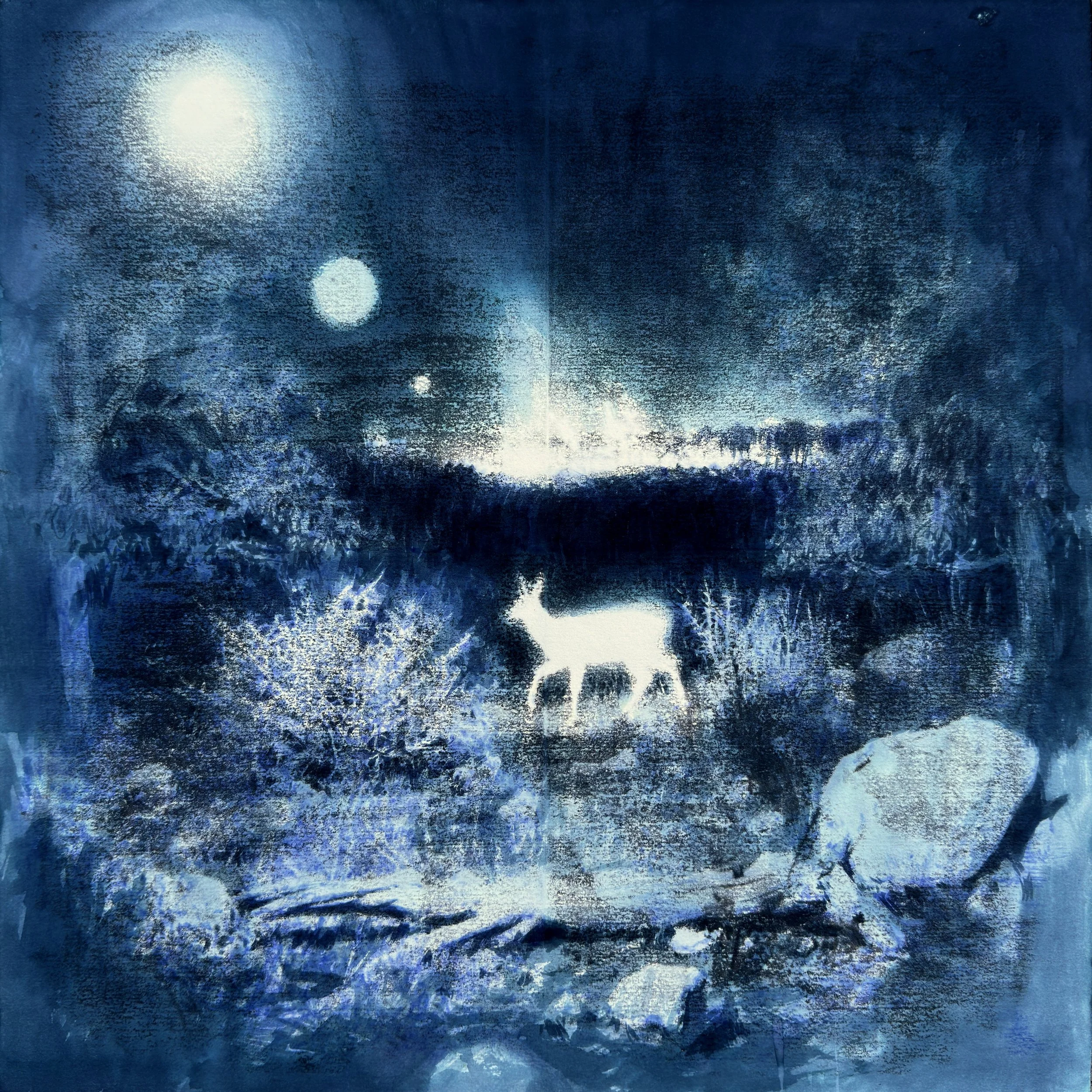 IMG_2866 comprimido.jpg