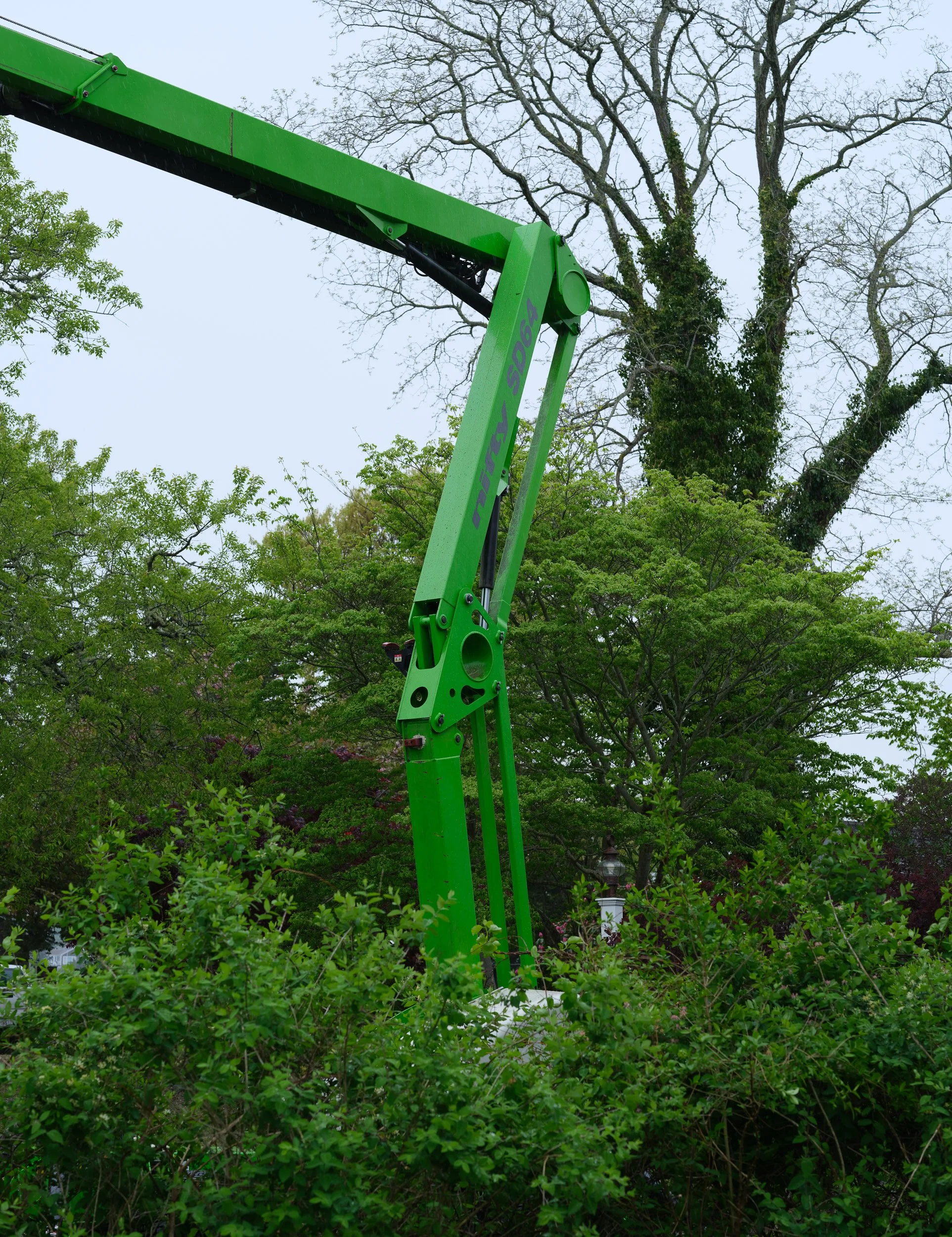 DSCF9429.jpg