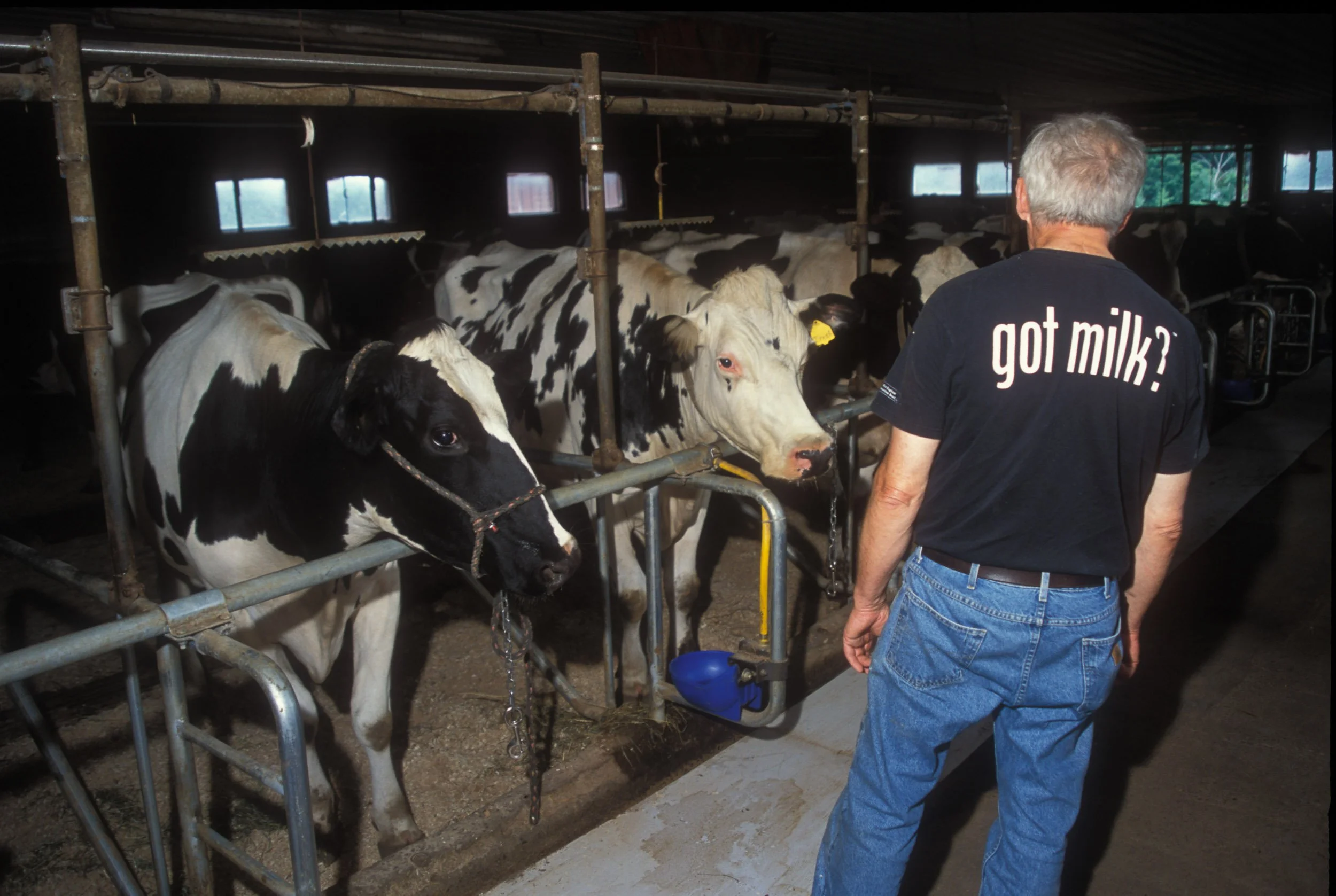 Got Milk 2-1.jpg