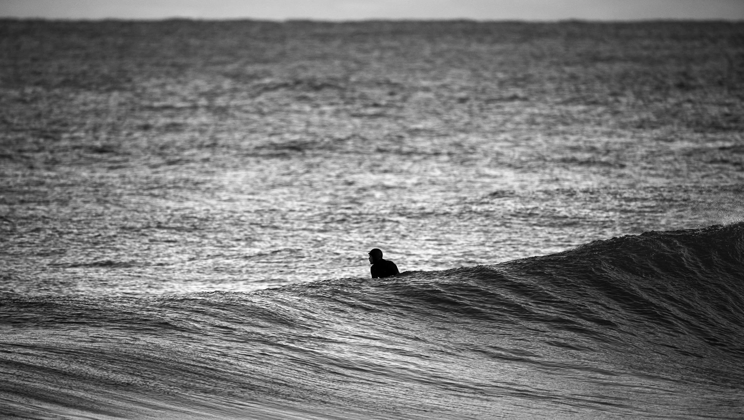 NZ8_5117-2.jpg