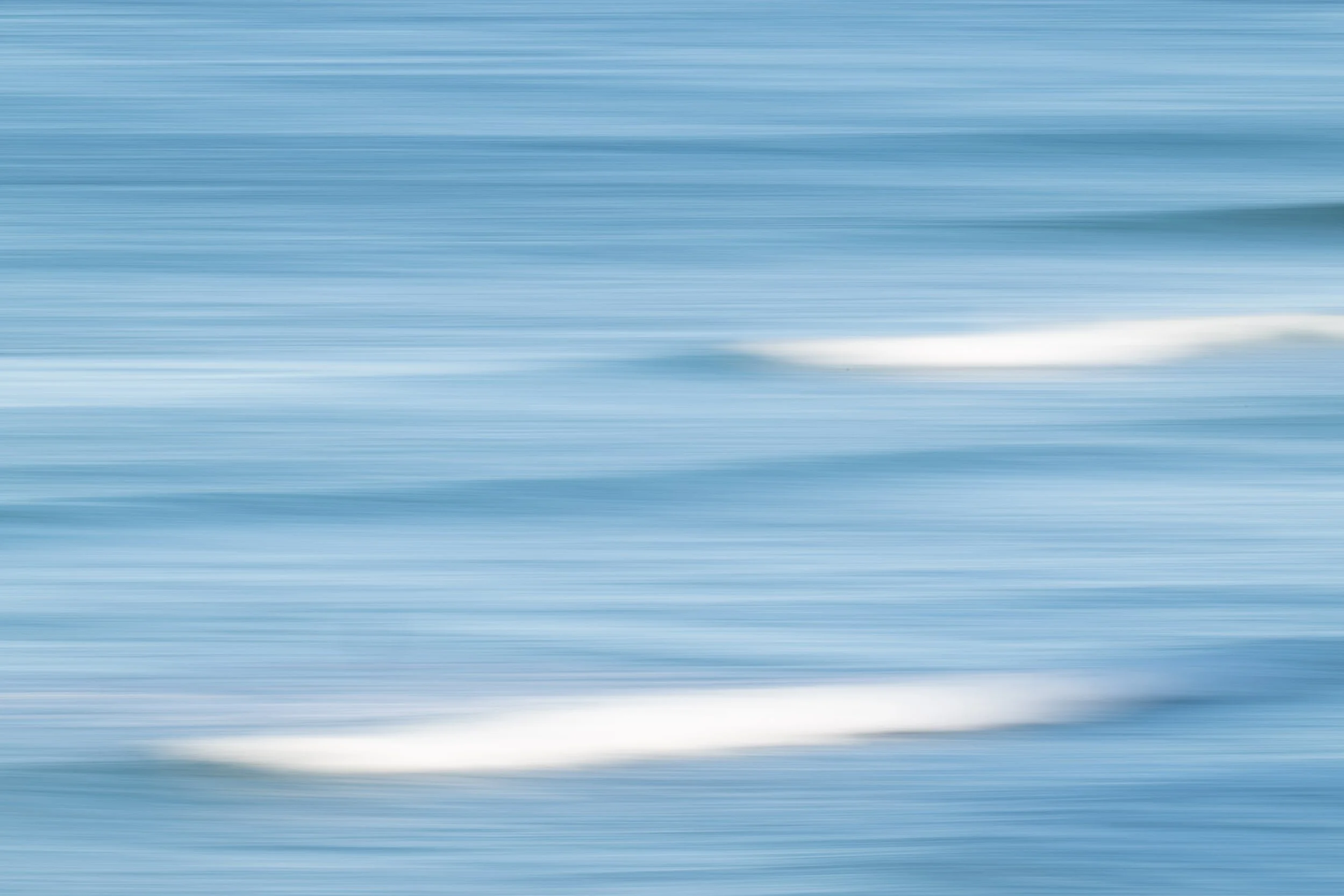 NZ8_2789.jpg