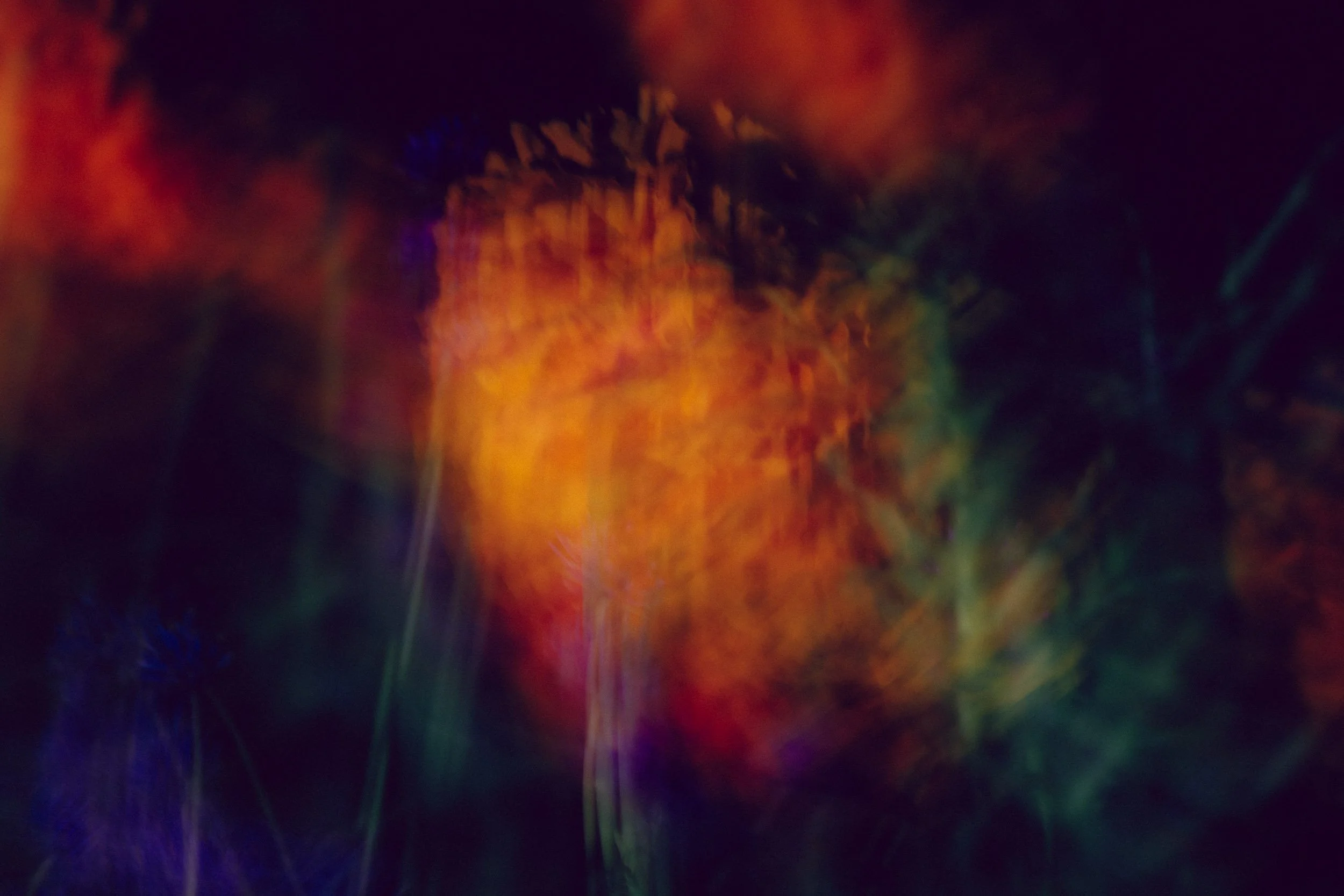 NZ8_3395-2.jpg