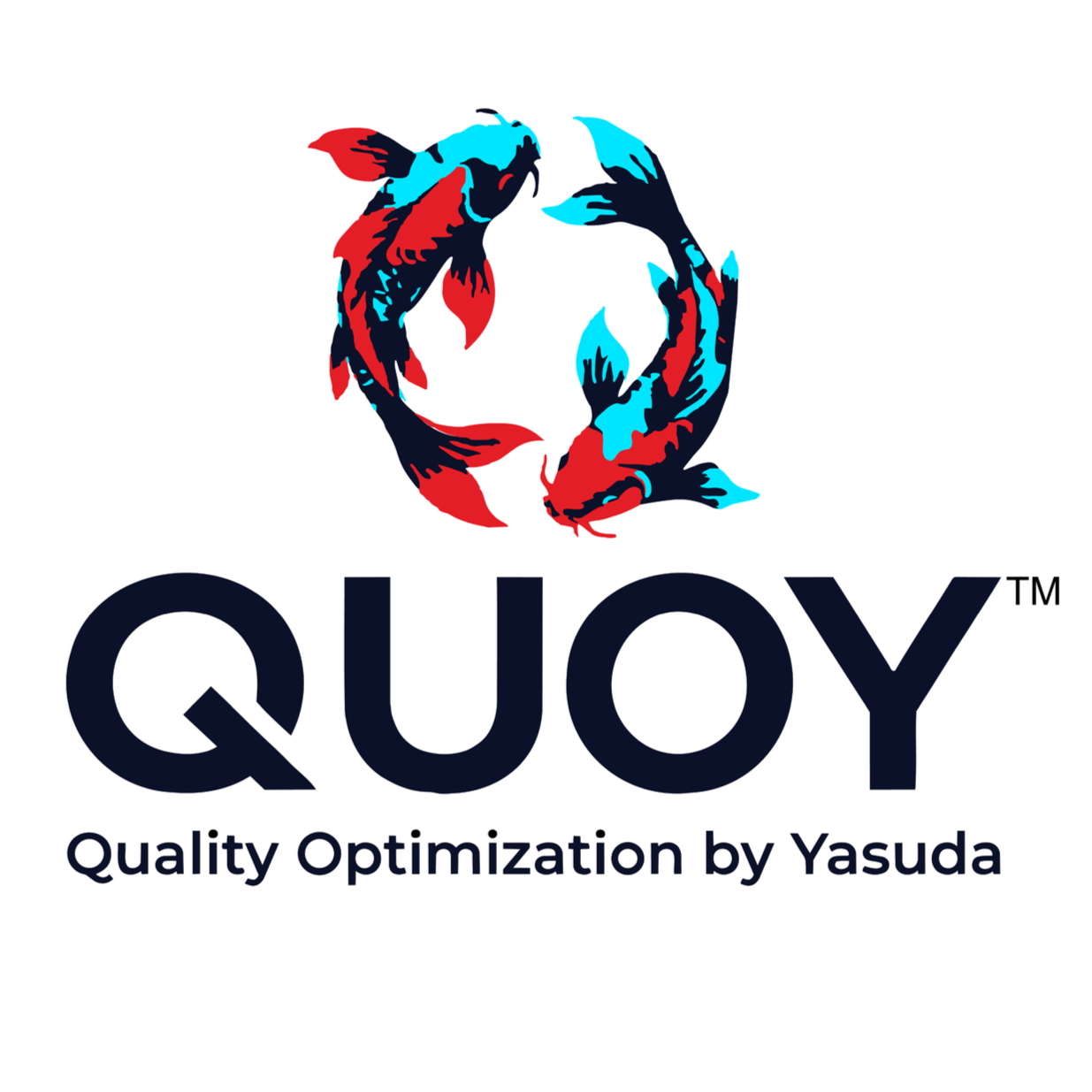 QUOY - Quality Optimization by Yasuda