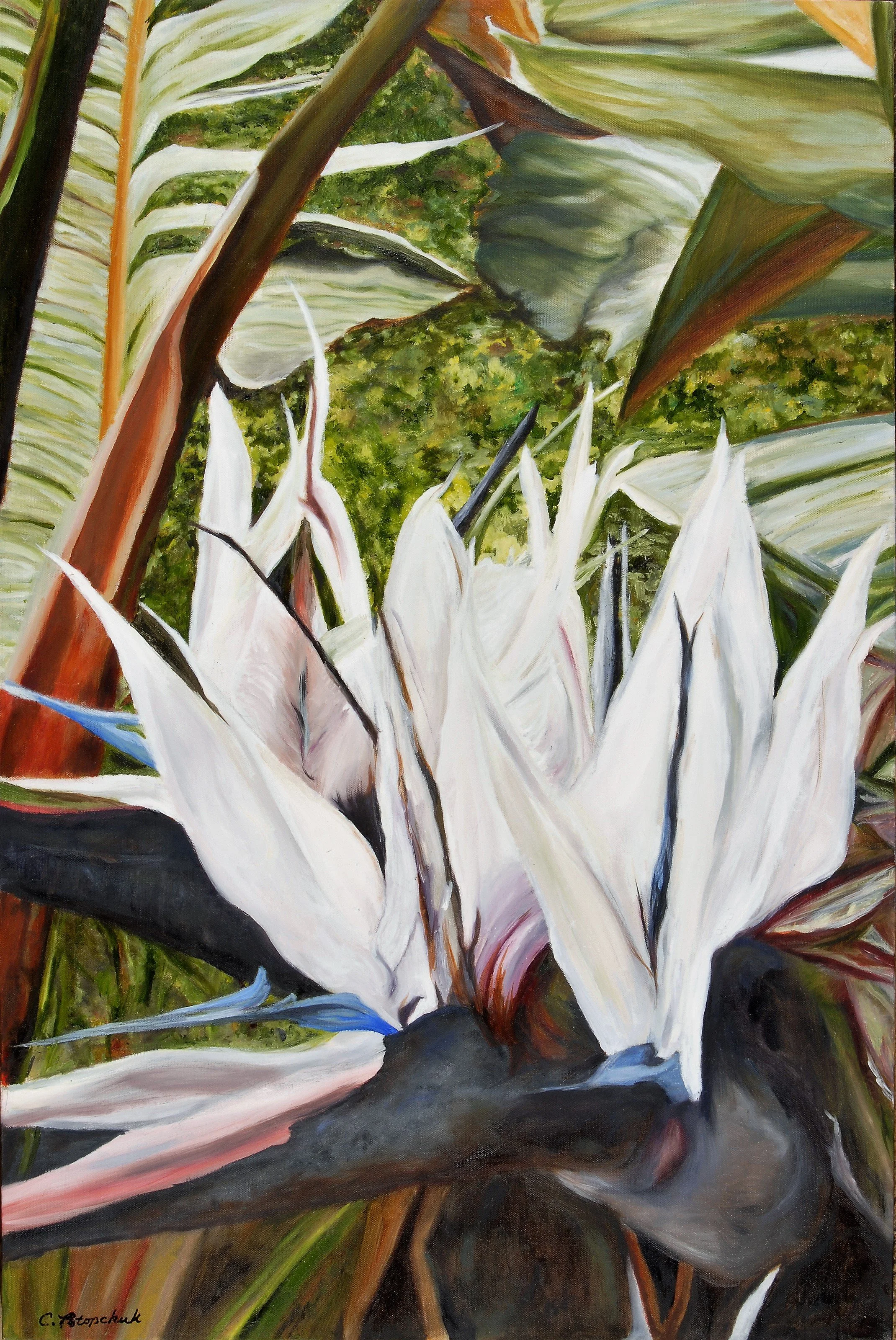 White Bird of Paradise - Note Cards