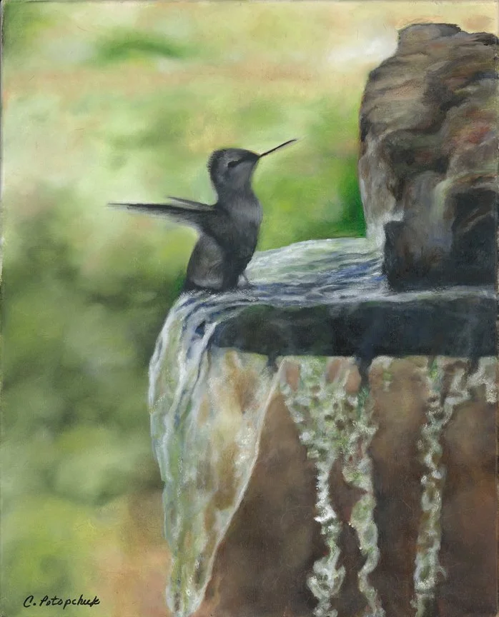 Baby Hummingbird - Digital Print