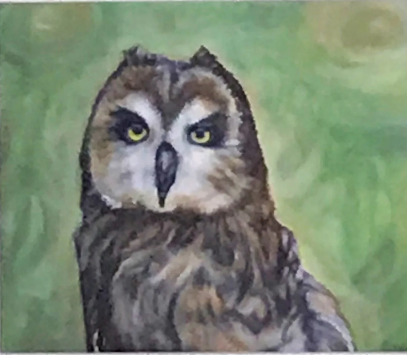 Mystic Owl - Printed from my original oil painting. This short-eared owl's mystical appearance was mesmerizing to me. 