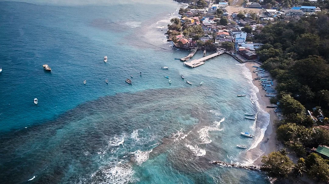 DJI_0010.jpg