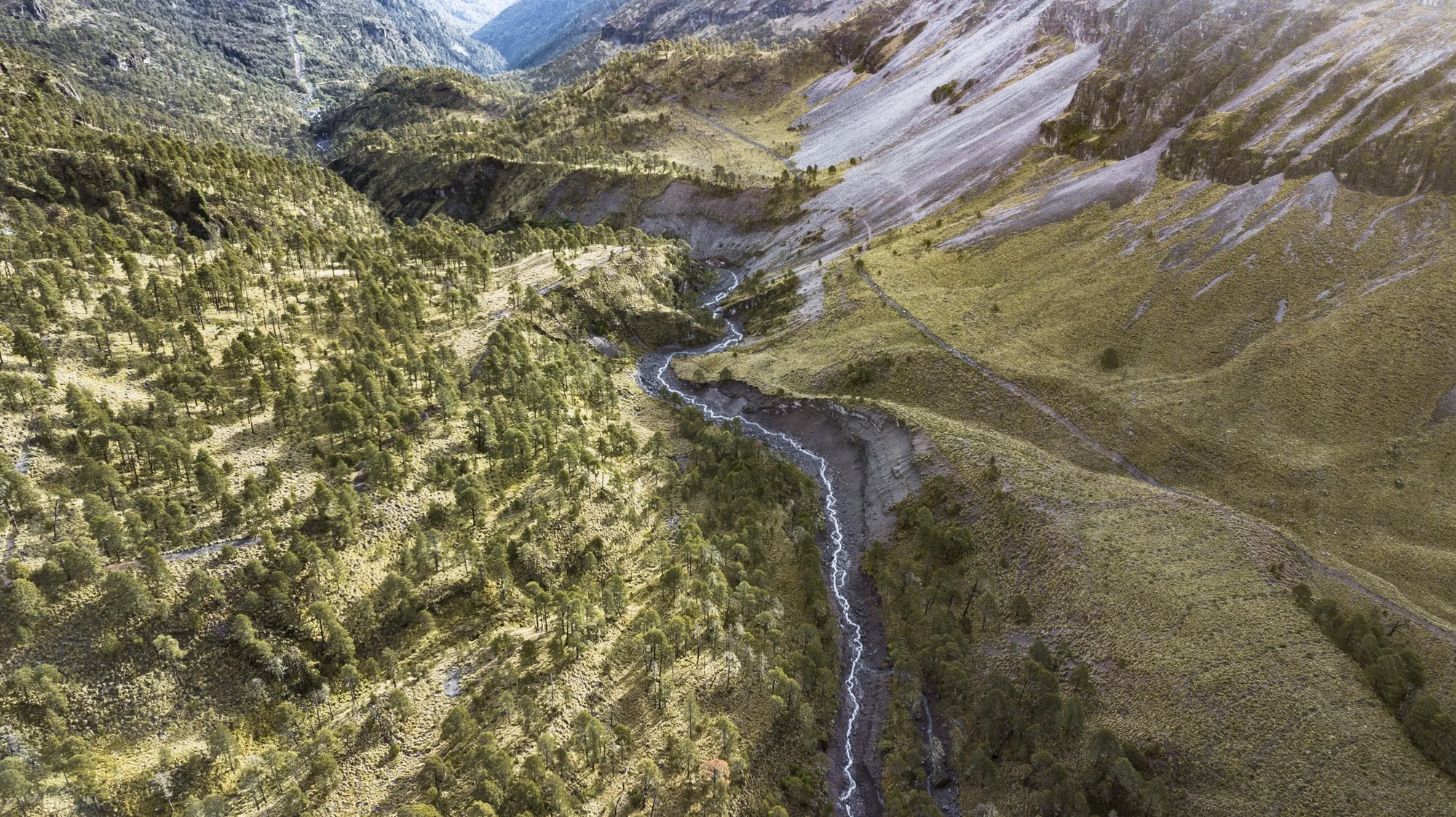GLACIAR16.jpg