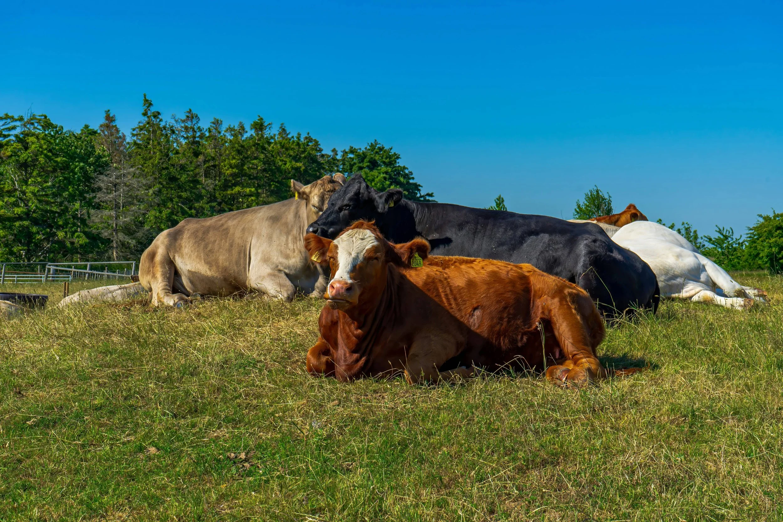 Turn Intention Into Action