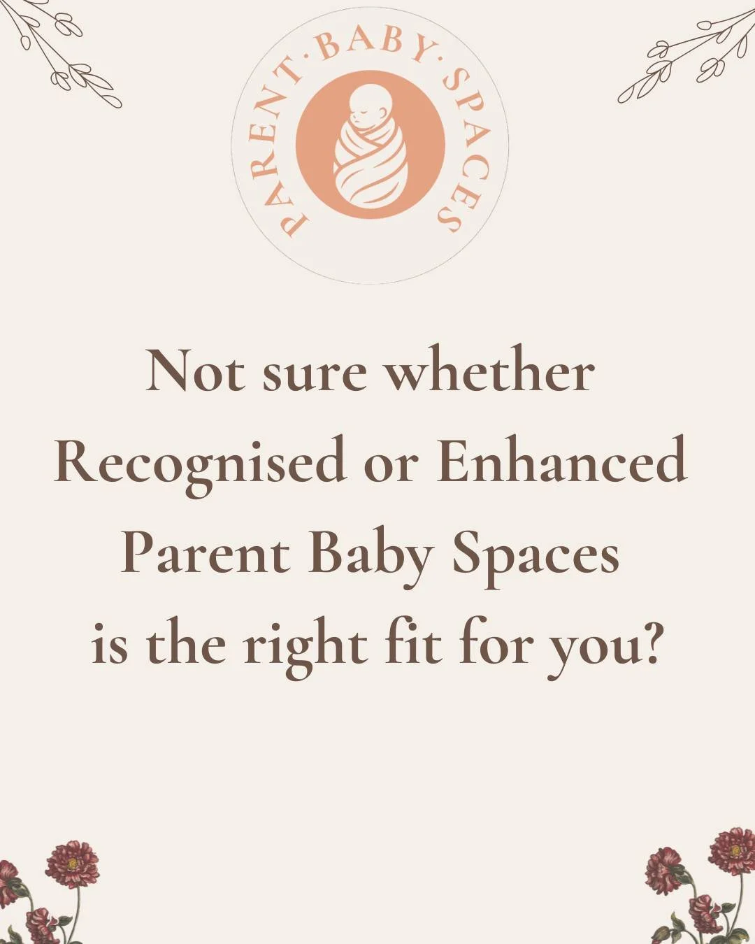 One of the questions I am asked most often is:

"Should I join Recognised or Enhanced Parent Baby Spaces?"

The answer depends on what you're looking for.

Some practitioners are seeking professional recognition and alignment with shared st