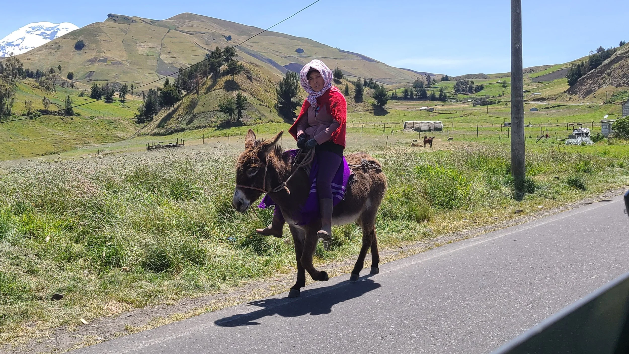 2025-12-09 12.42.57.jpg