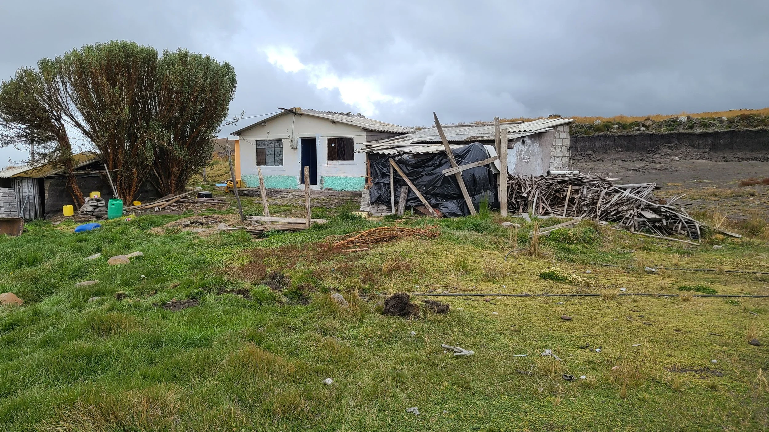 2025-12-10 12.52.02.jpg